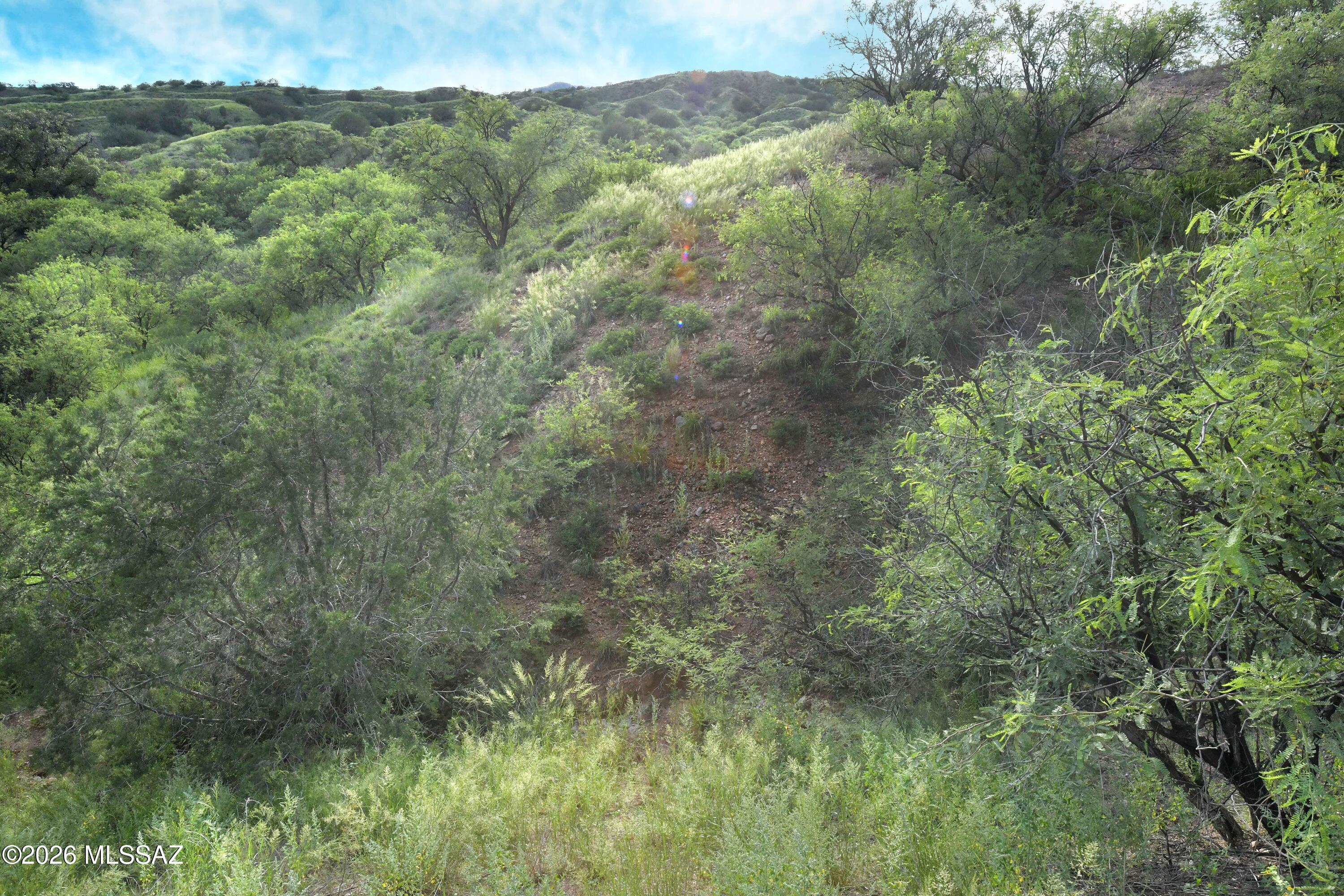 The Estates At Three Canyons - Land