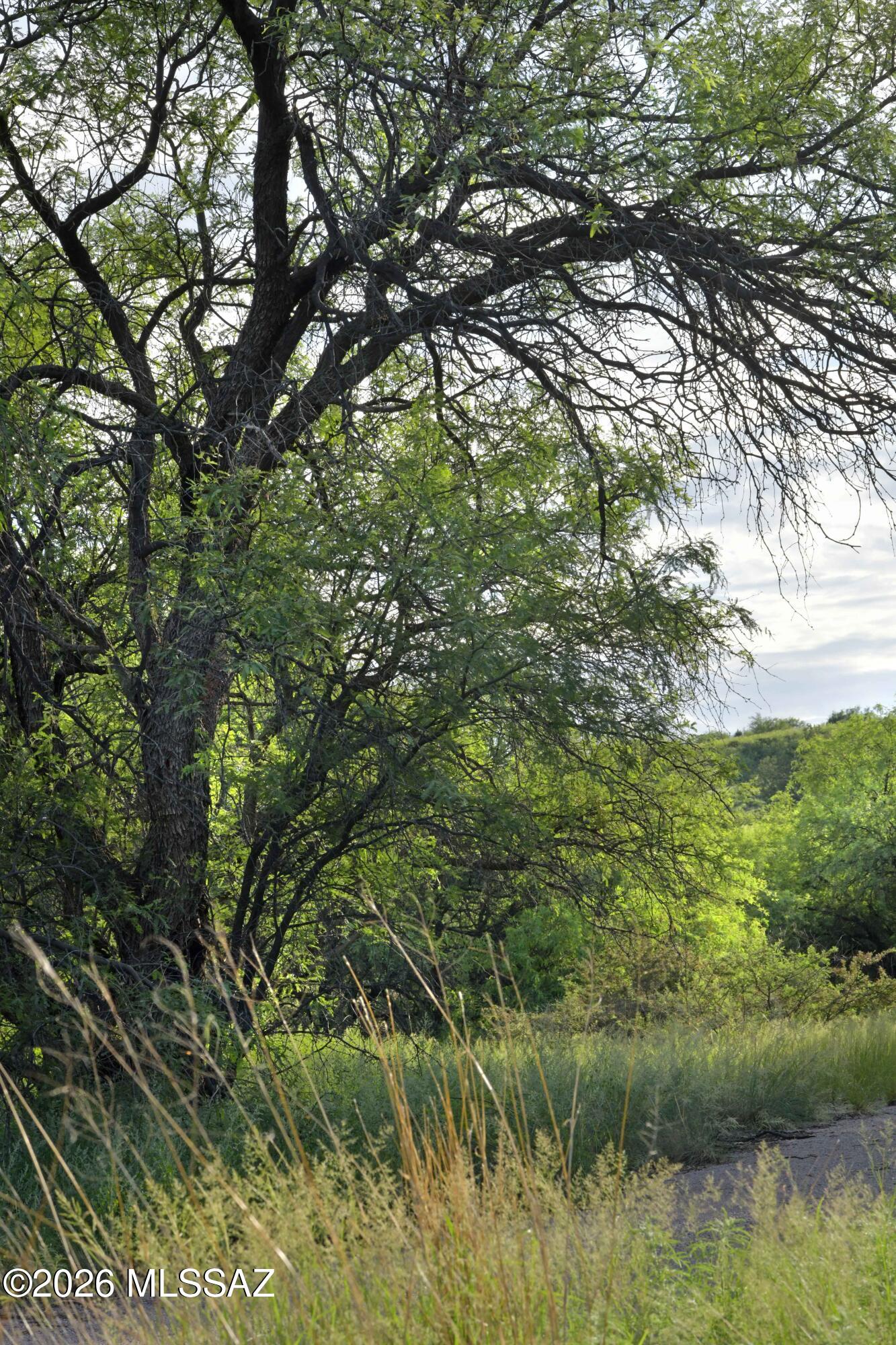 The Estates At Three Canyons - Land