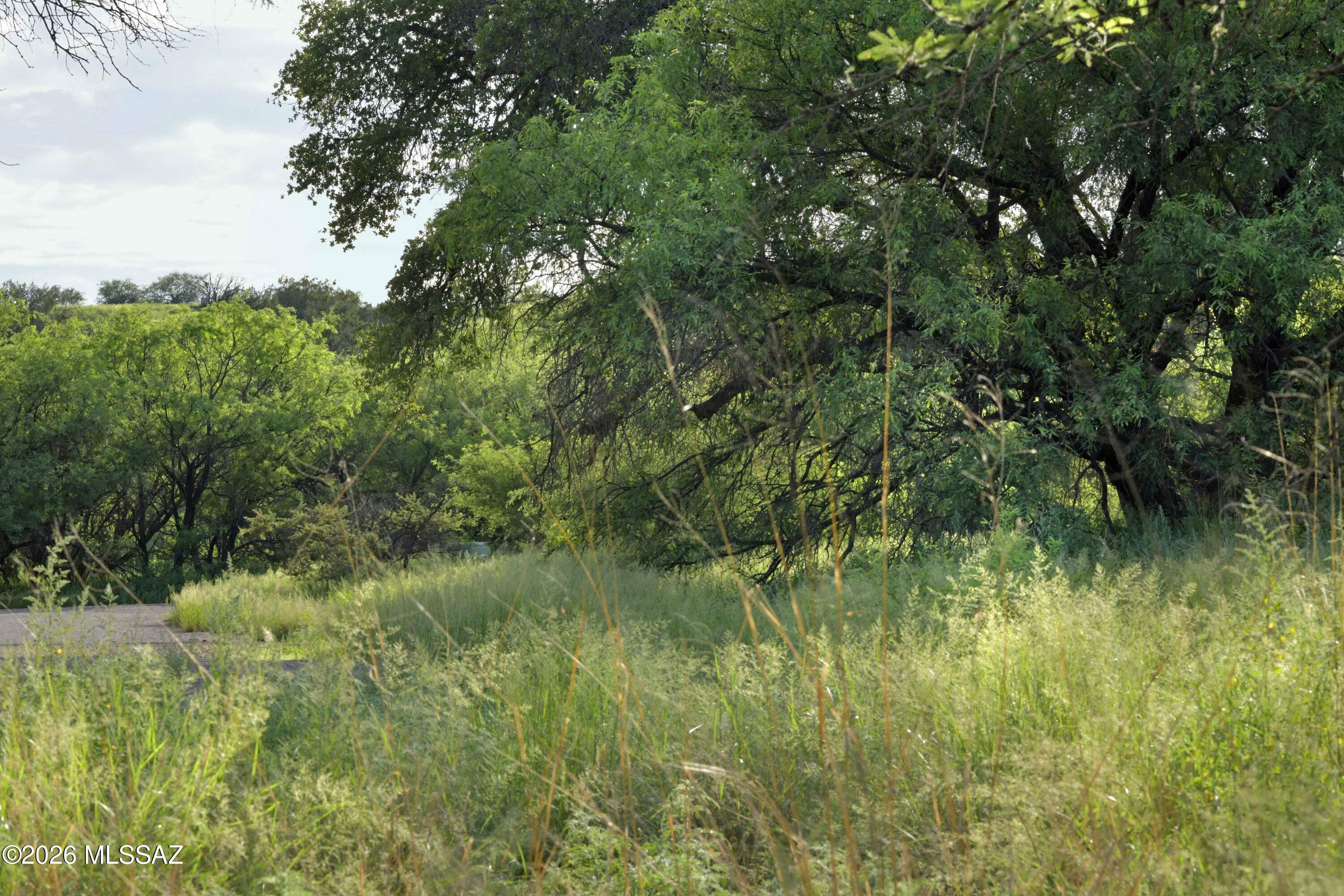 The Estates At Three Canyons - Land