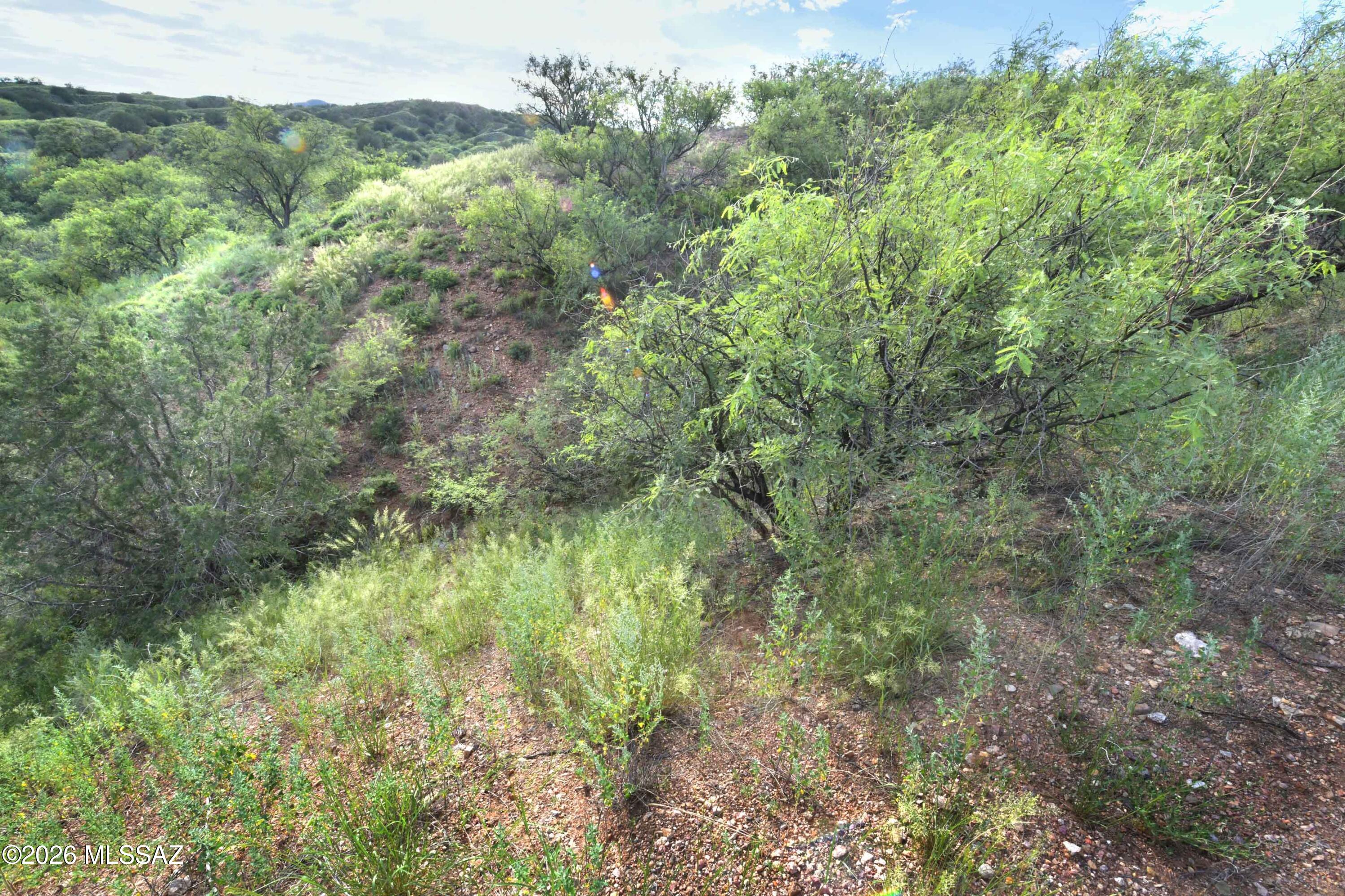 The Estates At Three Canyons - Land