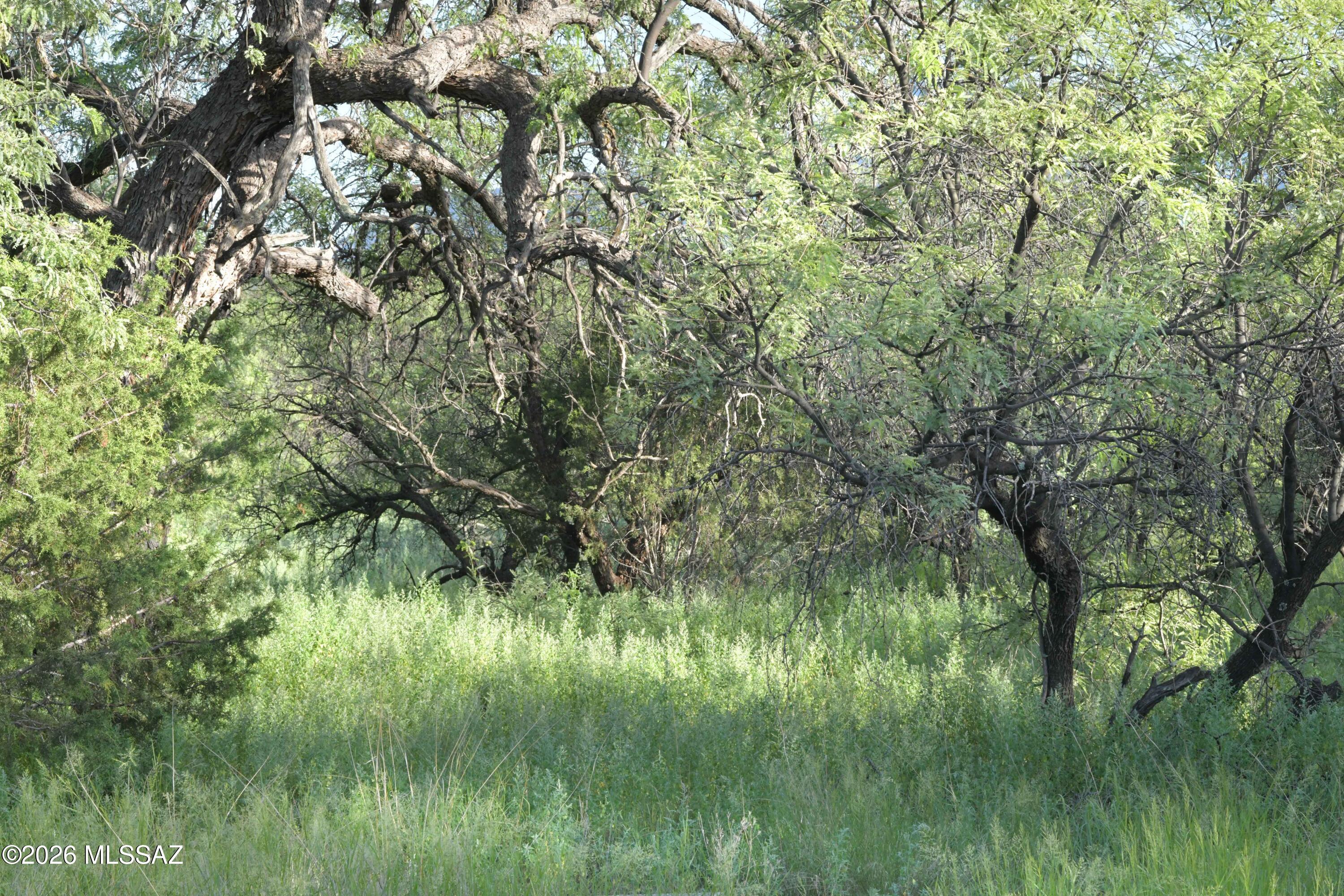 The Estates At Three Canyons - Land