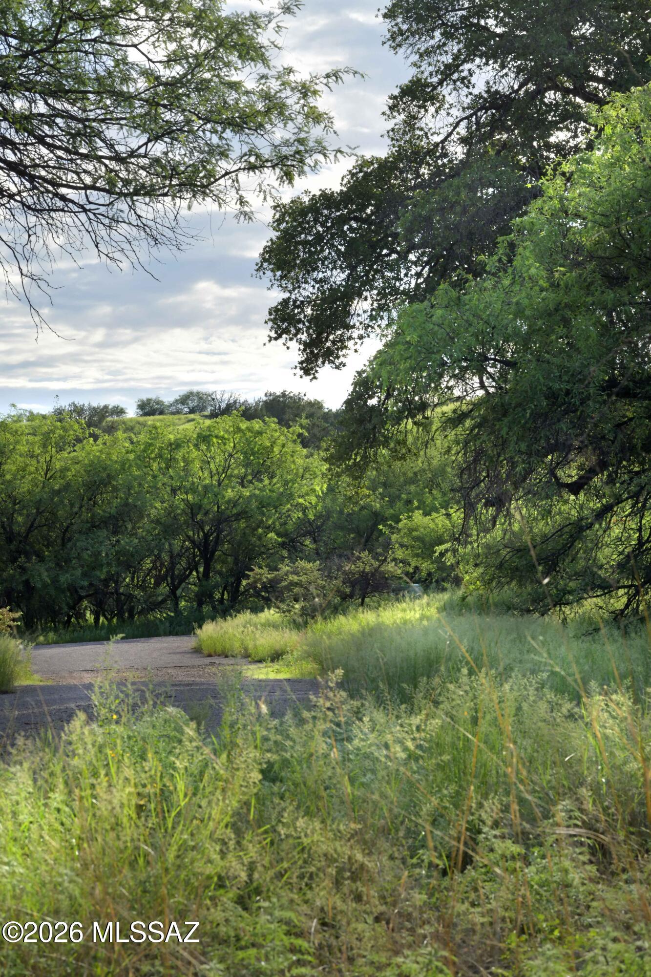 The Estates At Three Canyons - Land