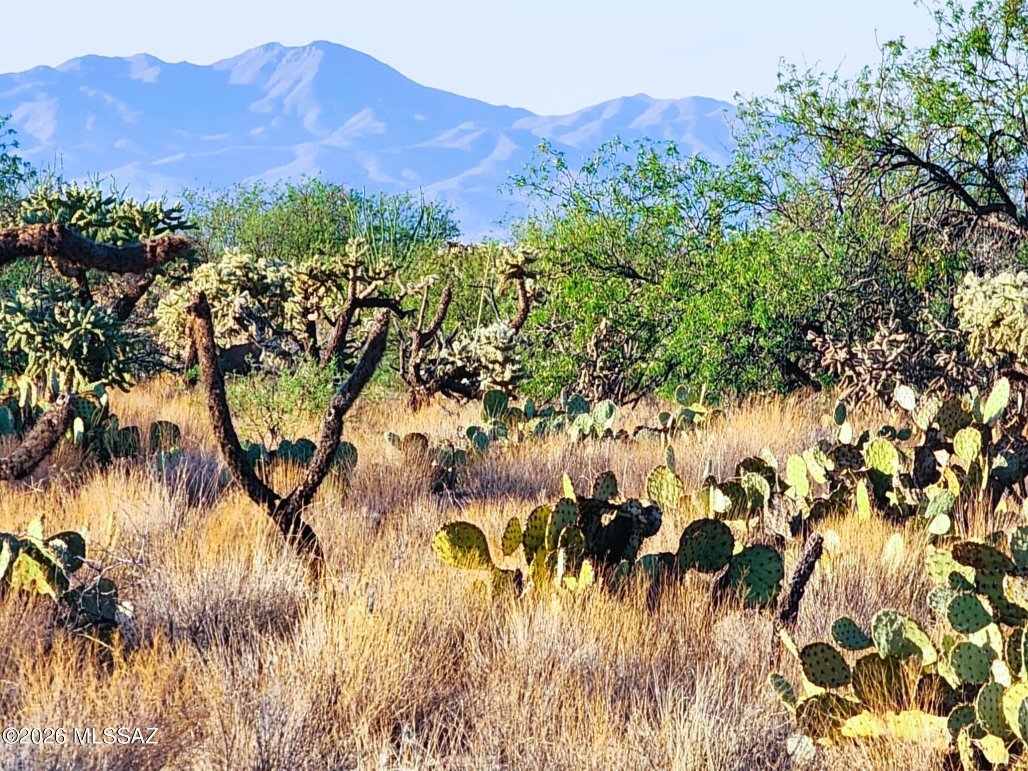 Diamond Bell Ranch - Tucson Unit 6 (1-435) - Land