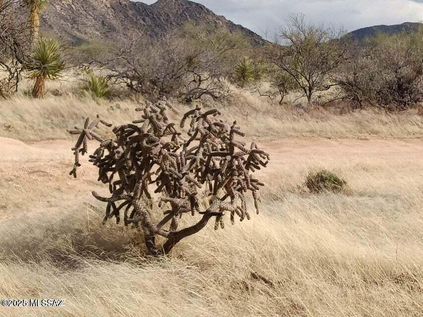 Diamond Bell Ranch - Tucson Unit 6 (1-435) - Land