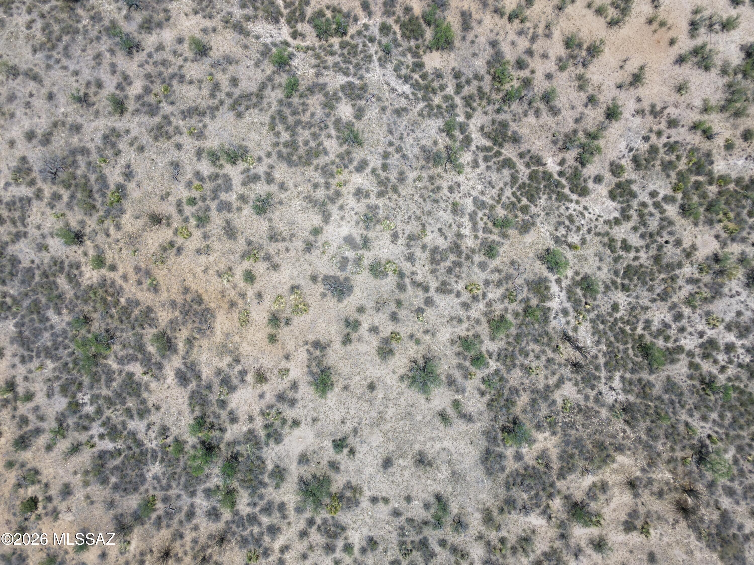 Rio Rico Ranchettes - Land