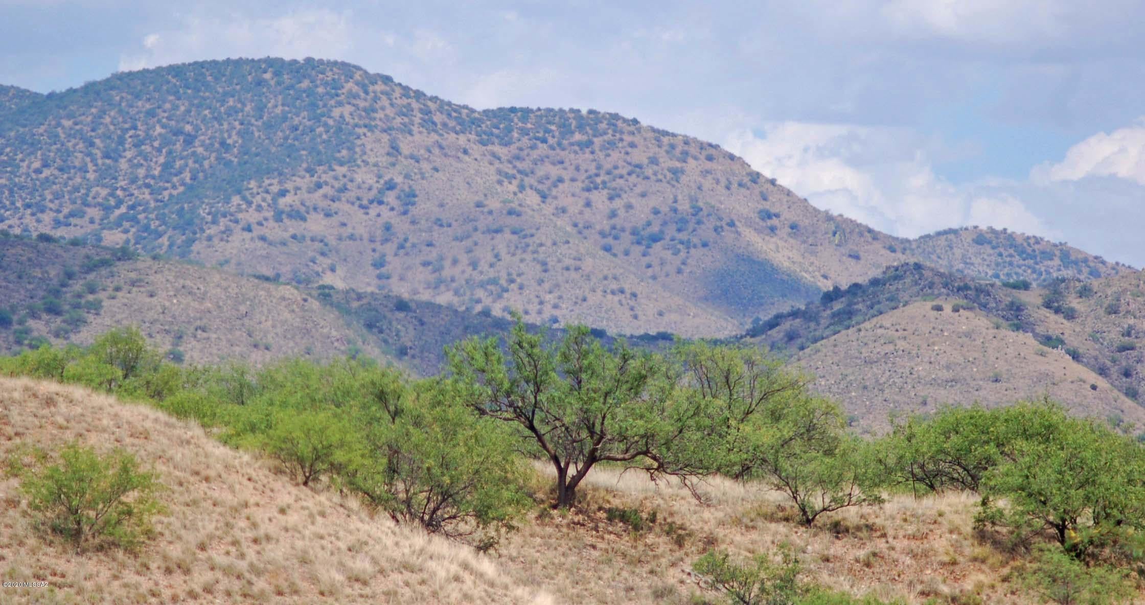 The Estates At Three Canyons - Land