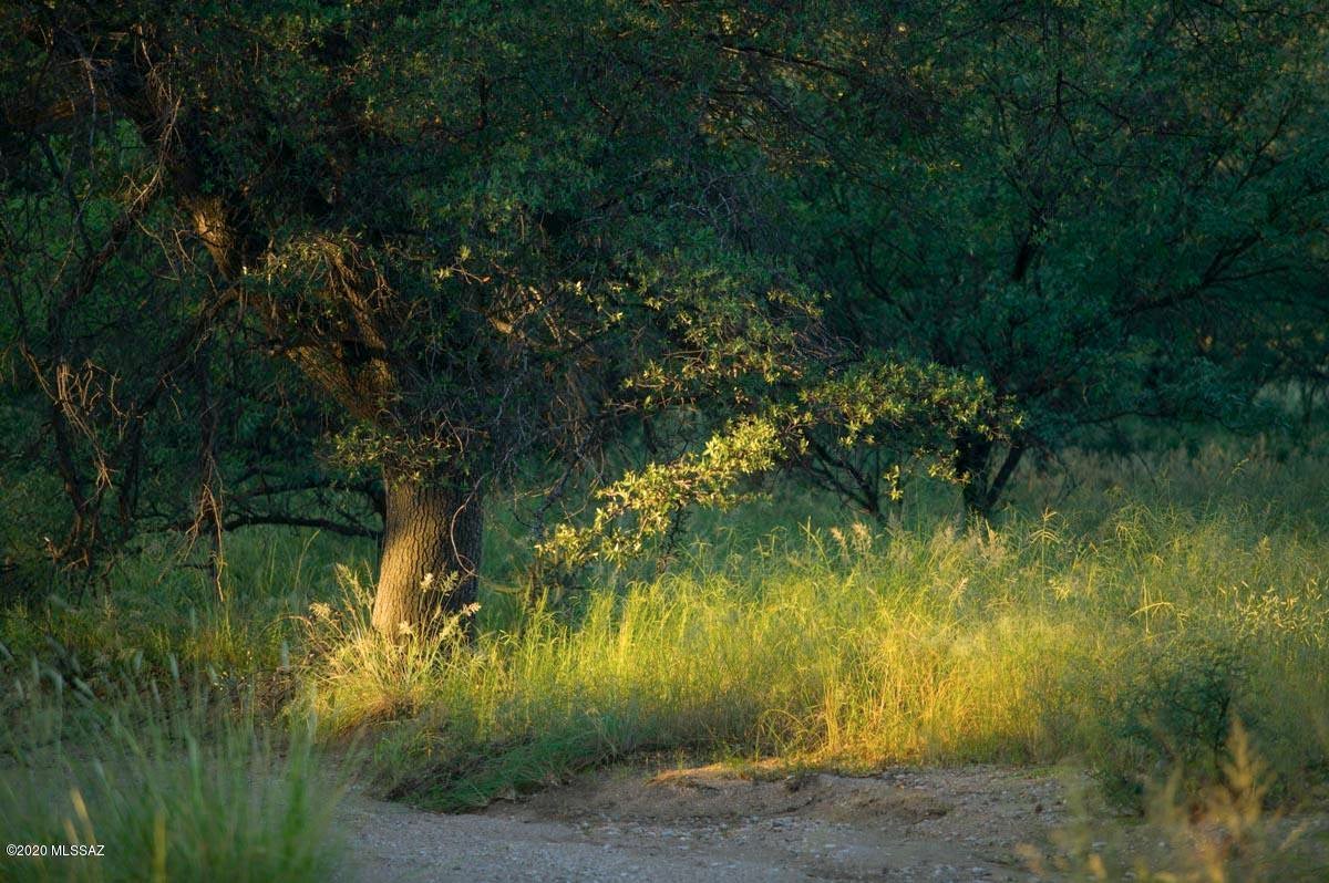 The Estates At Three Canyons - Land