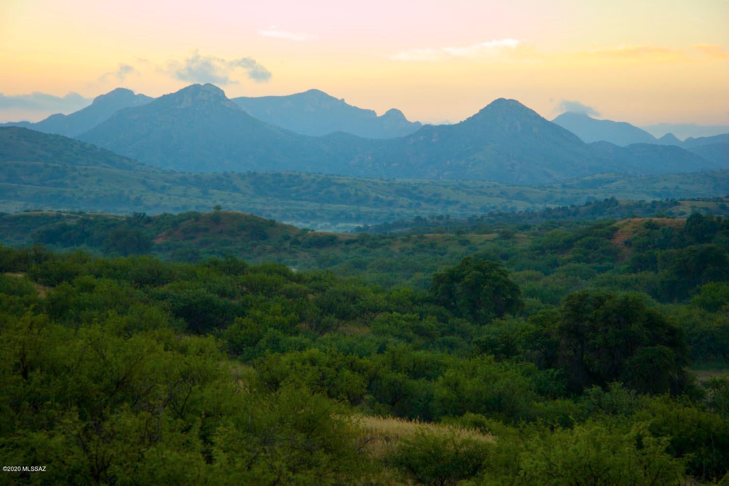 The Estates At Three Canyons - Land