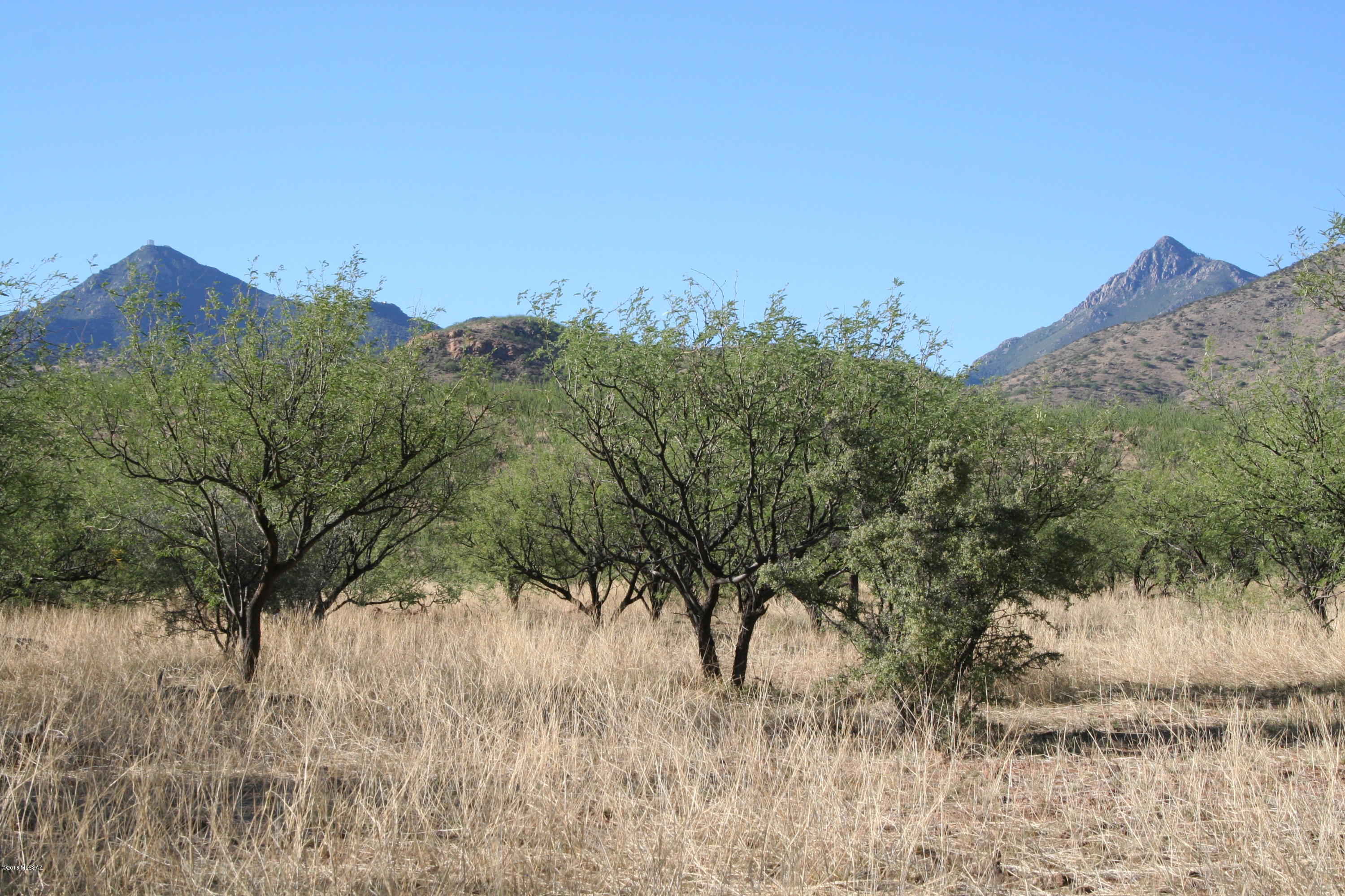 Excellent rare parcel with easy access and and easy build sites on this spectacular Salero Ranch. Level building sites with magnificent 360 mountain views. Ranch is gated for privacy and underground electric protects the views. Sensible CCR's protect the values. Site build only now or never. Great pasture for your horses too. Very close to the National Forest for endless riding. Adjacent parcel also available. Call today.