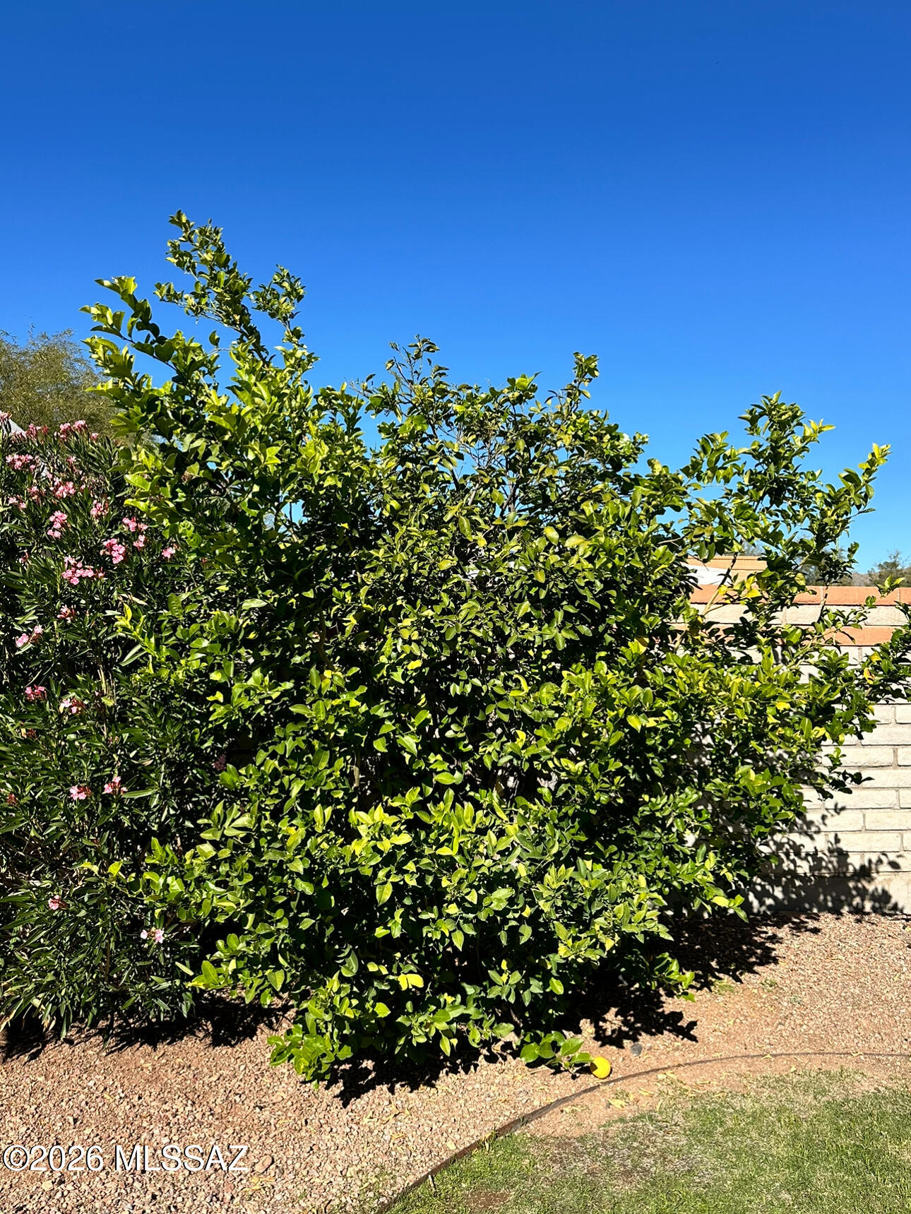 Rocking K Ranch Estates II (21-50) - Residential