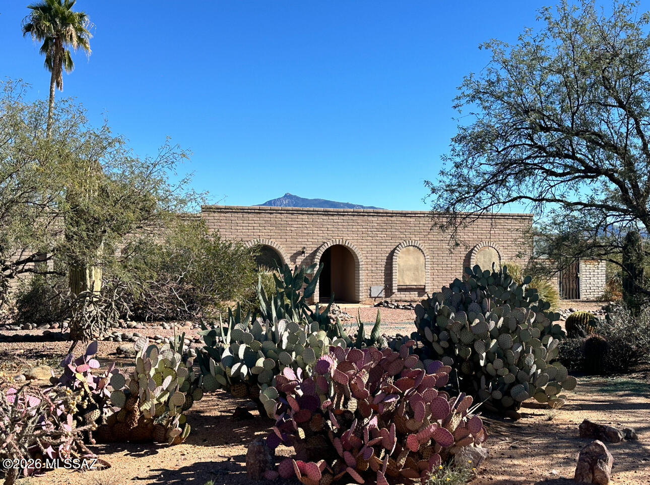 Live the Arizona lifestyle on a full 1-acre lot with unobstructed mountain views, no rear neighbors, and owned solar. This beautifully maintained Southwest-style home offers 4 bedrooms and 2 baths with masonry construction, a new HVAC system, and an updated kitchen and flooring designed for comfort and longevity.
Step outside to a private, block-walled backyard that feels like your own retreat—complete with a covered patio, mature landscaping, and producing fruit trees including orange, lemon, grapefruit, pomegranate, and fig. With ample parking and room for RVs, trailers, or additional vehicles, the property offers flexibility rarely found in this area.
No HOA. Located within the Vail School District, this home blends space, privacy, and convenience, easy access to shopping, etc.