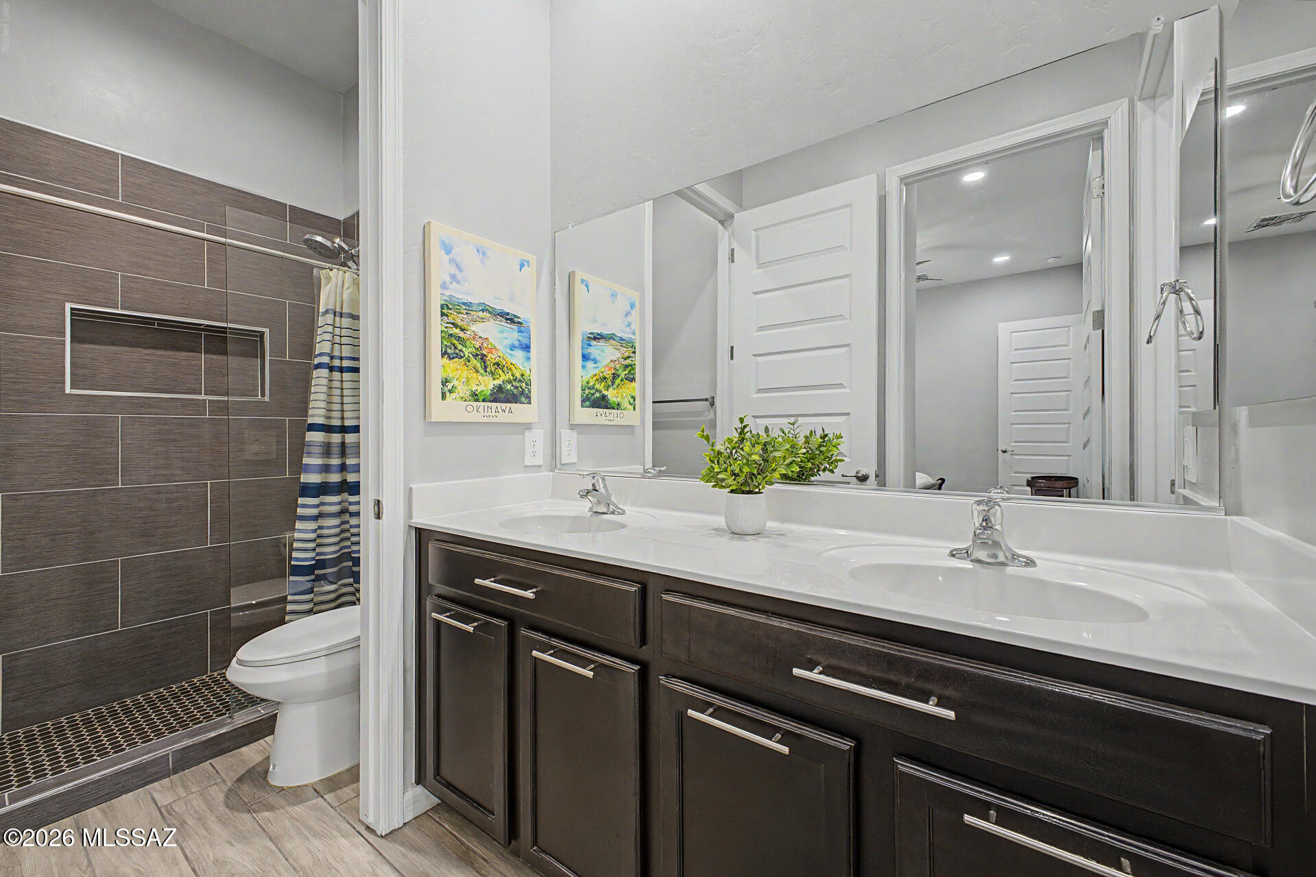 Saguaro Bloom 7B - Residential