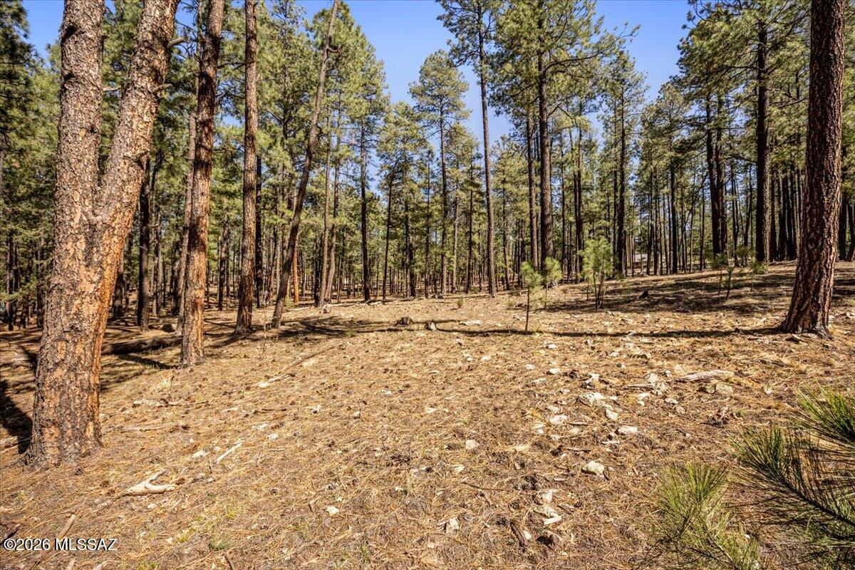 4.82-acre parcel in Alpine with tall pines and a mix of level to gently sloped terrain,making it usable for building and easy to access.
Plenty of space to design a custom home, shop, or horse setup. Property can be split into 1-acre parcels, offering flexibility for future use or investment.
Site-built homes only with a minimum of 1,800 sq ft, helping maintain property values. Horses are allowed. Power, water, and sewer are available at the
lot line, giving you a strong starting point for development. From Alpine Junction (Hwys 180/191), head south--property is off to the right not far from the
Tackle Shop Store Gas Station. Located in the White Mountains where summers are cooler and outdoor recreation is all around.  Whether you're ready to
build or hold as an investment, this property offers flexibility with light restrictions in place.