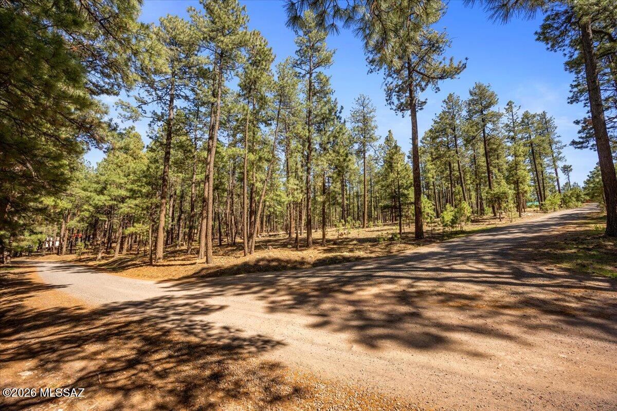 Out Of Pima County - Land