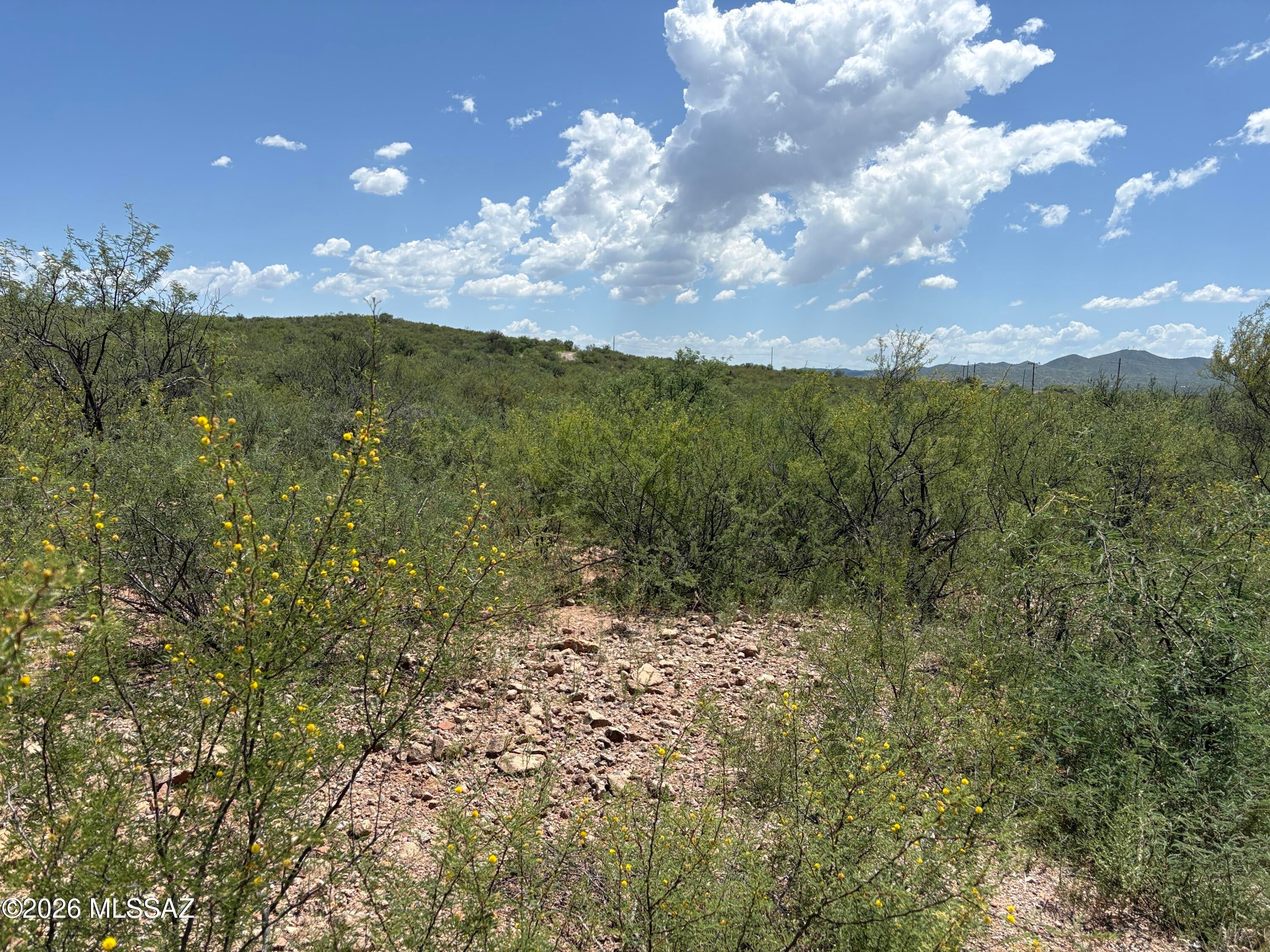 Rio Rico Estates 10 - Land
