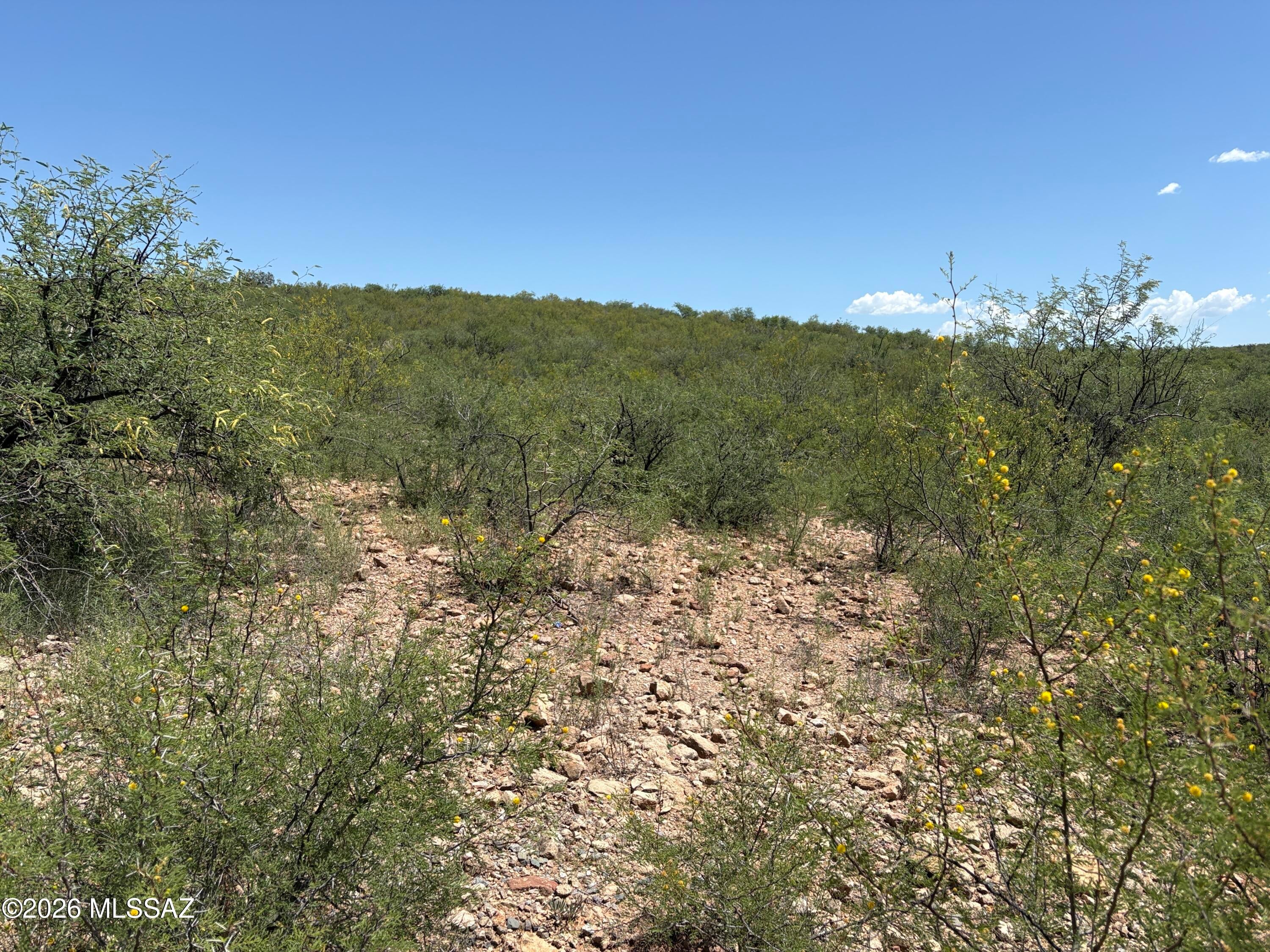 Rio Rico Estates 10 - Land