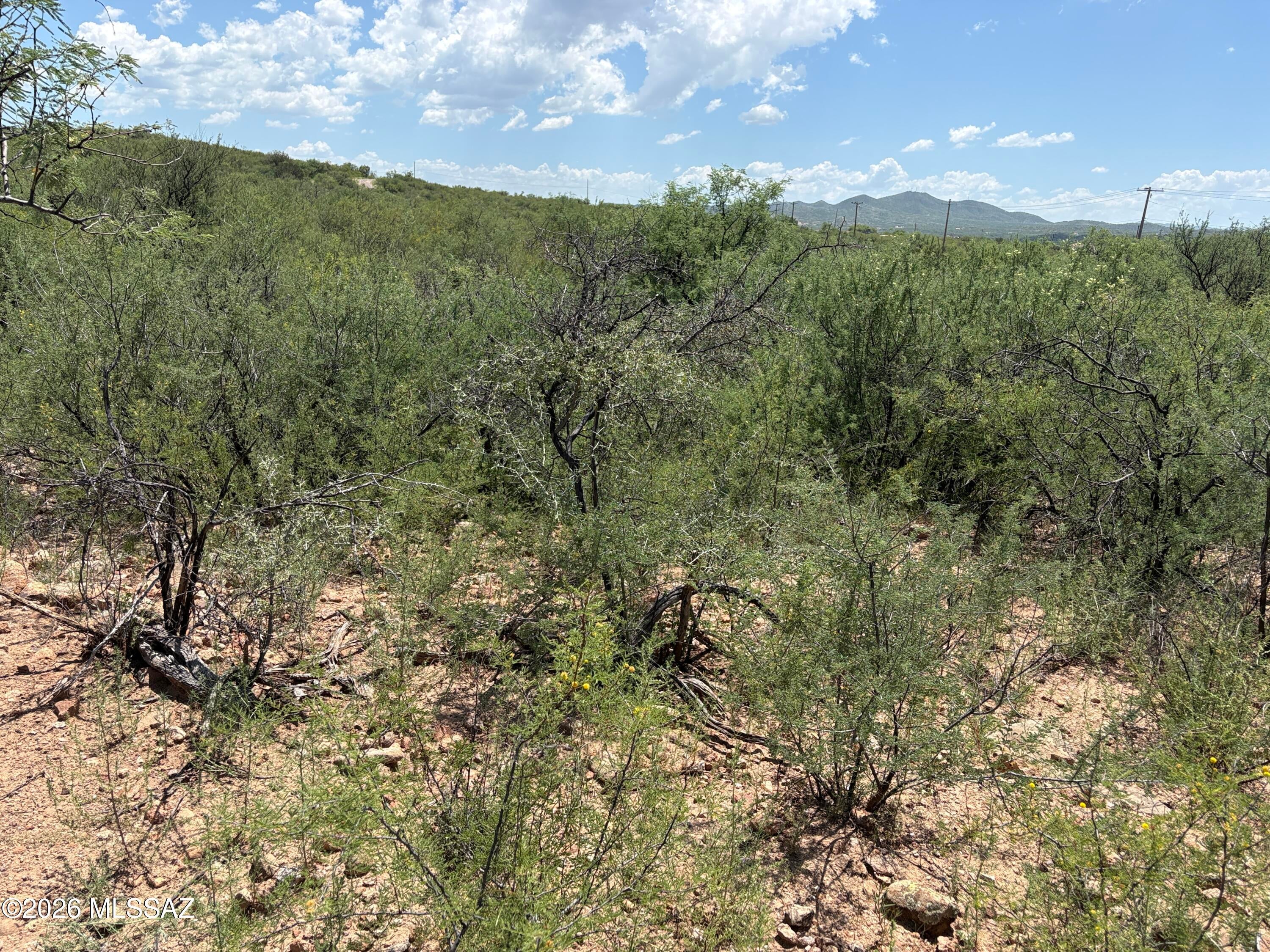 Rio Rico Estates 10 - Land