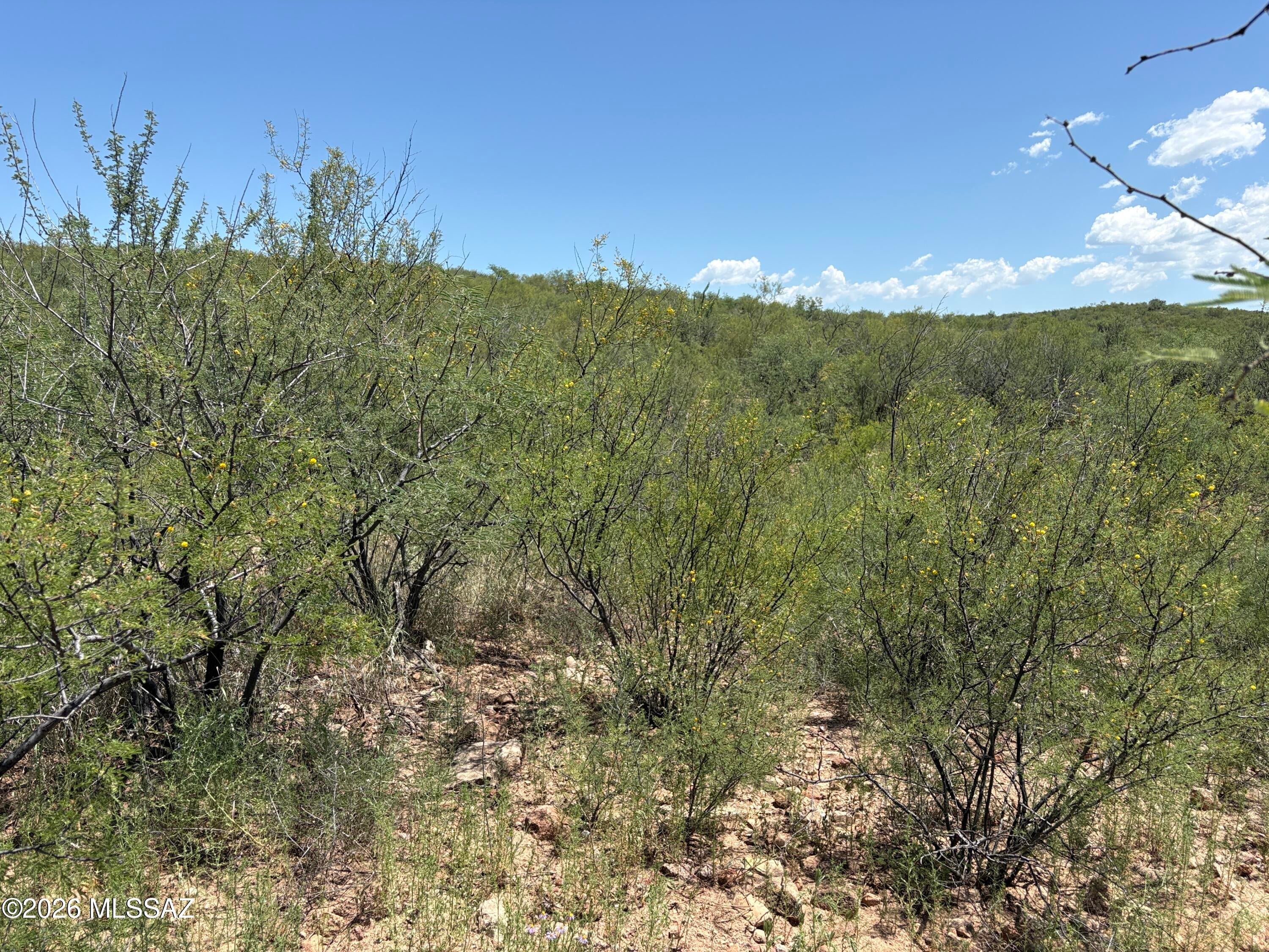 Rio Rico Estates 10 - Land