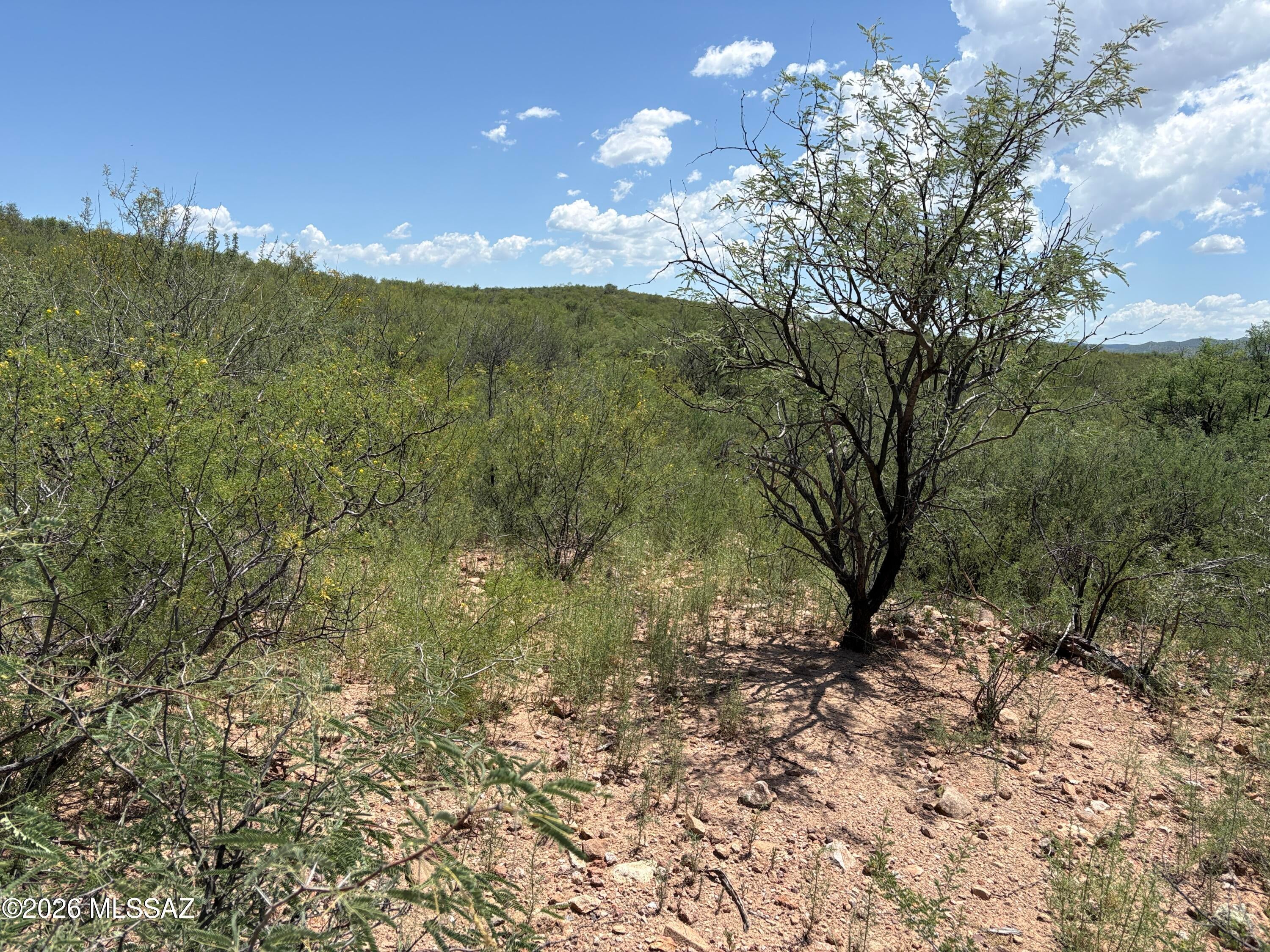 Rio Rico Estates 10 - Land