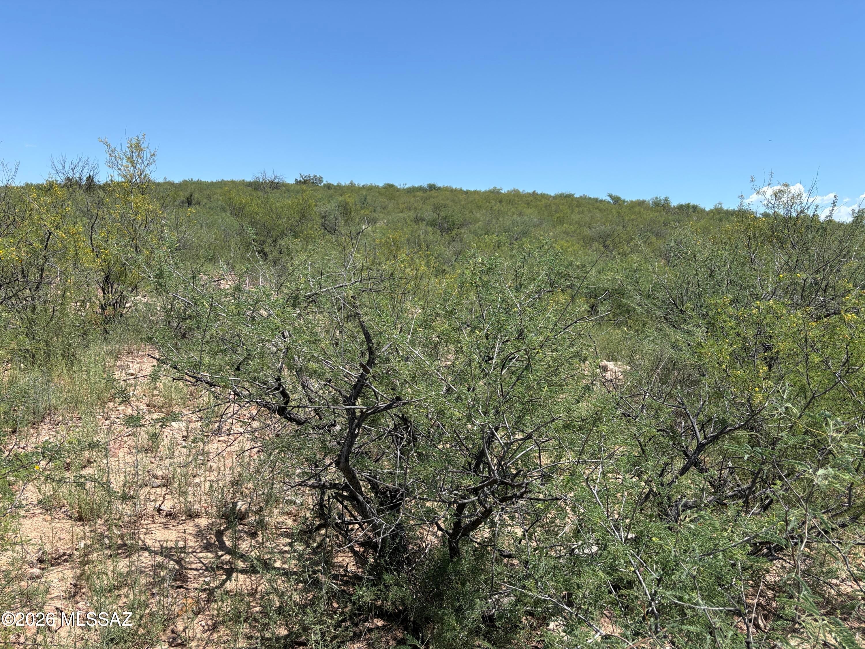 Rio Rico Estates 10 - Land