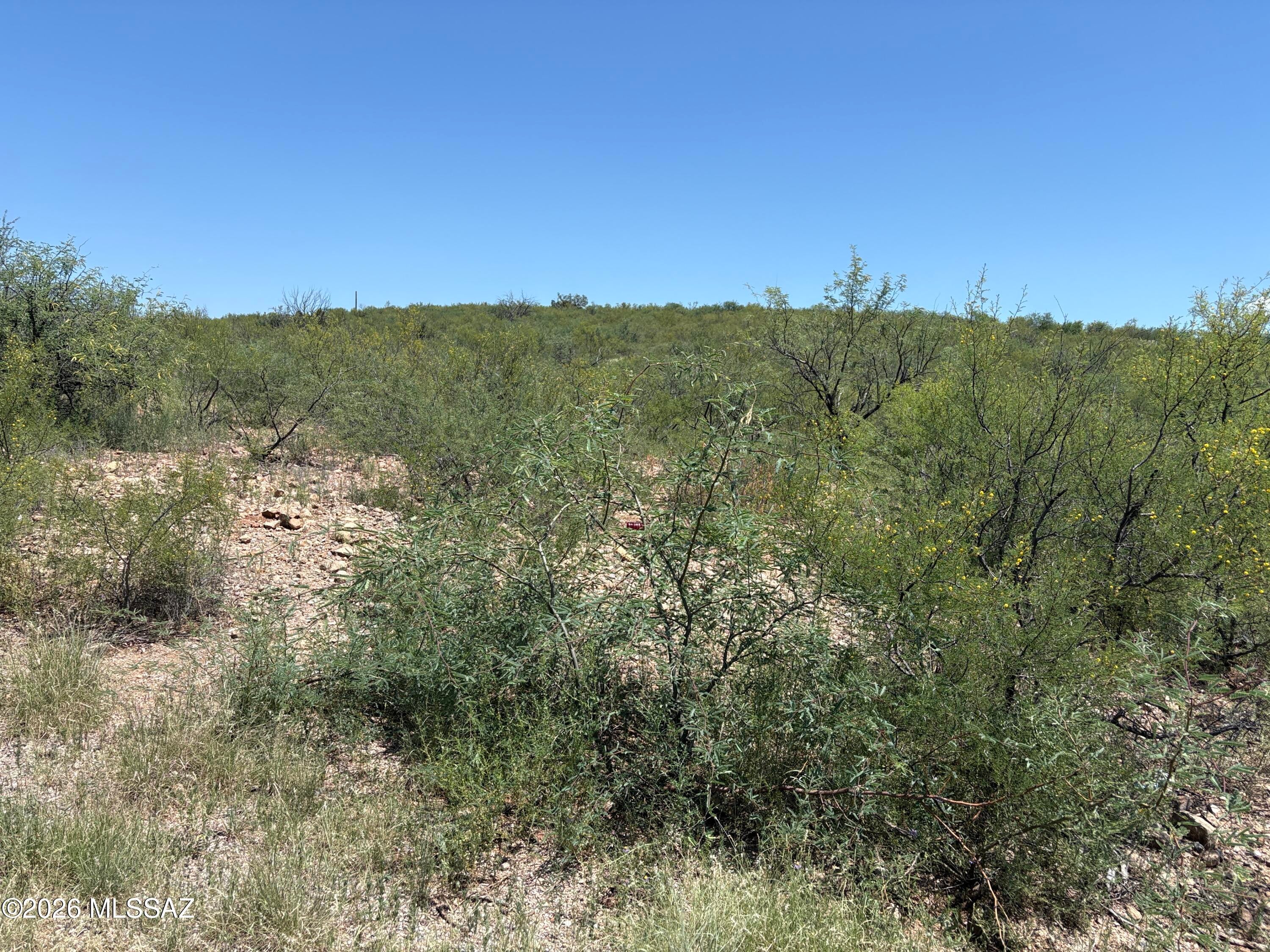 Rio Rico Estates 10 - Land