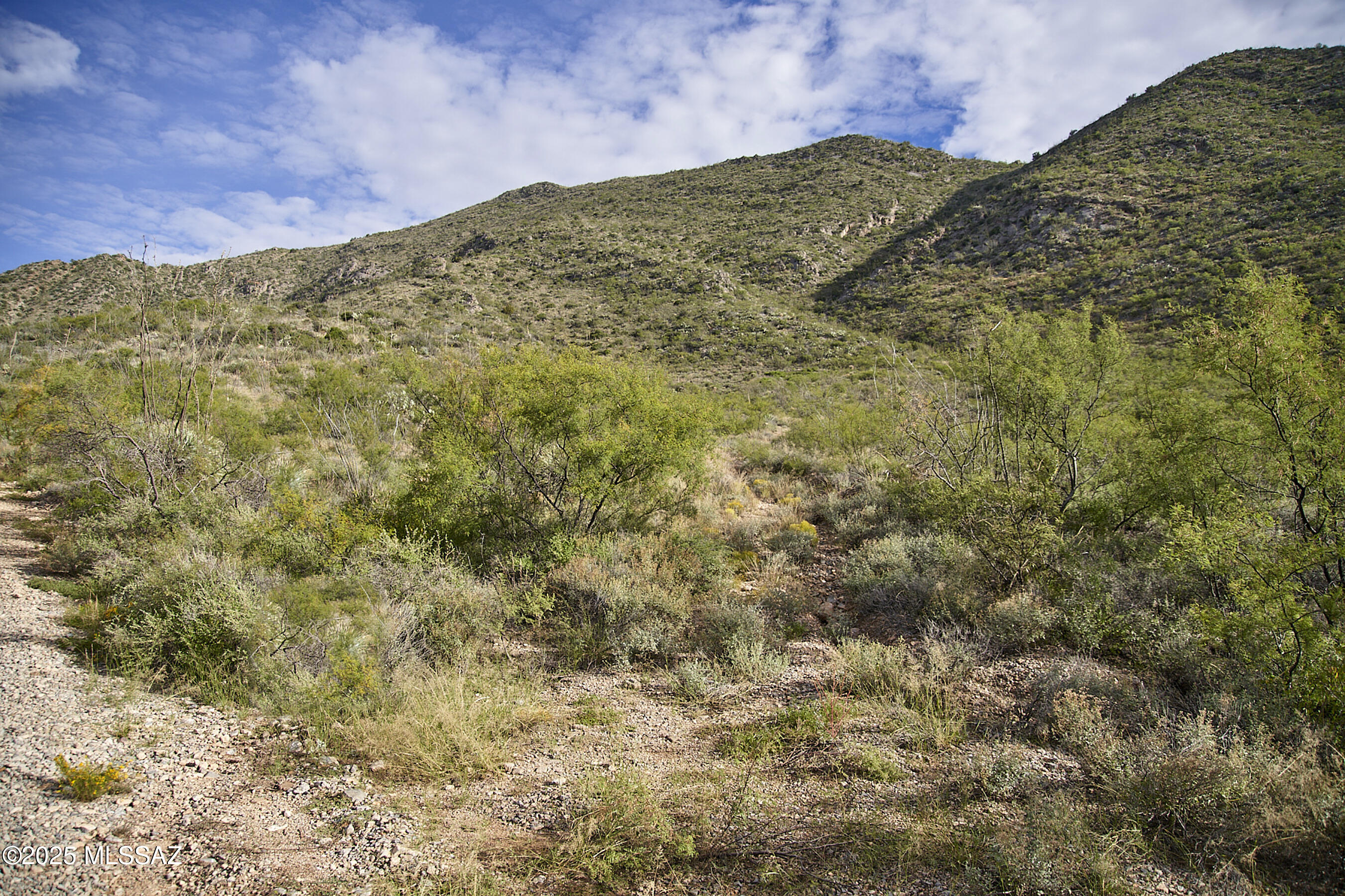 Out Of Pima County - Land