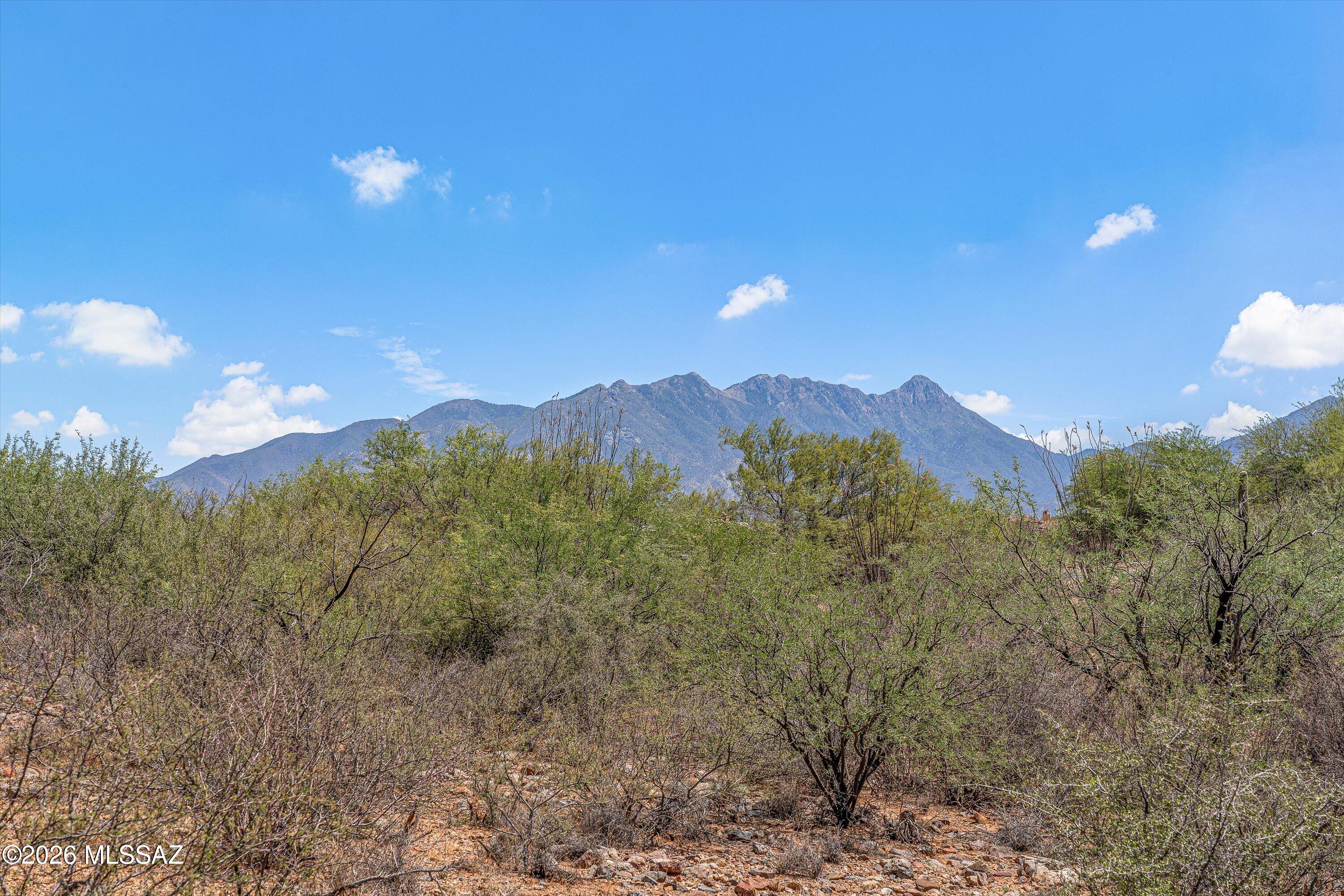 Wake up to breathtaking sunrises, stunning Santa Rita Mountain views and renowned sunsets on your 4.59-acre cul-de-sac lot. Located in the highly sought after Madera Shadows Phase II, a subdivision in Green Valley, in a non-age restricted gated community. Community abuts 55,000 acres that comprise a Plant & Animal Study area est. in 1938, called the Santa Rita Experimental Range. This luxury estate lot is the place to build your perfect home. 

Less than 10 minutes away from Green Valley amenities & 2.5 miles to access I-19. Approximately 30 minutes to downtown Tucson & 15 minutes to Madera Canyon; a US renowned bird-watching haven, plus hiking, camping, picnicking etc. All utilities at lot line. Build anytime. Your builder ok. SEE MORE TAB Perc test required. Membership to Green Valley Recreation, with all the amenities is available; information at www.gvrec.org.