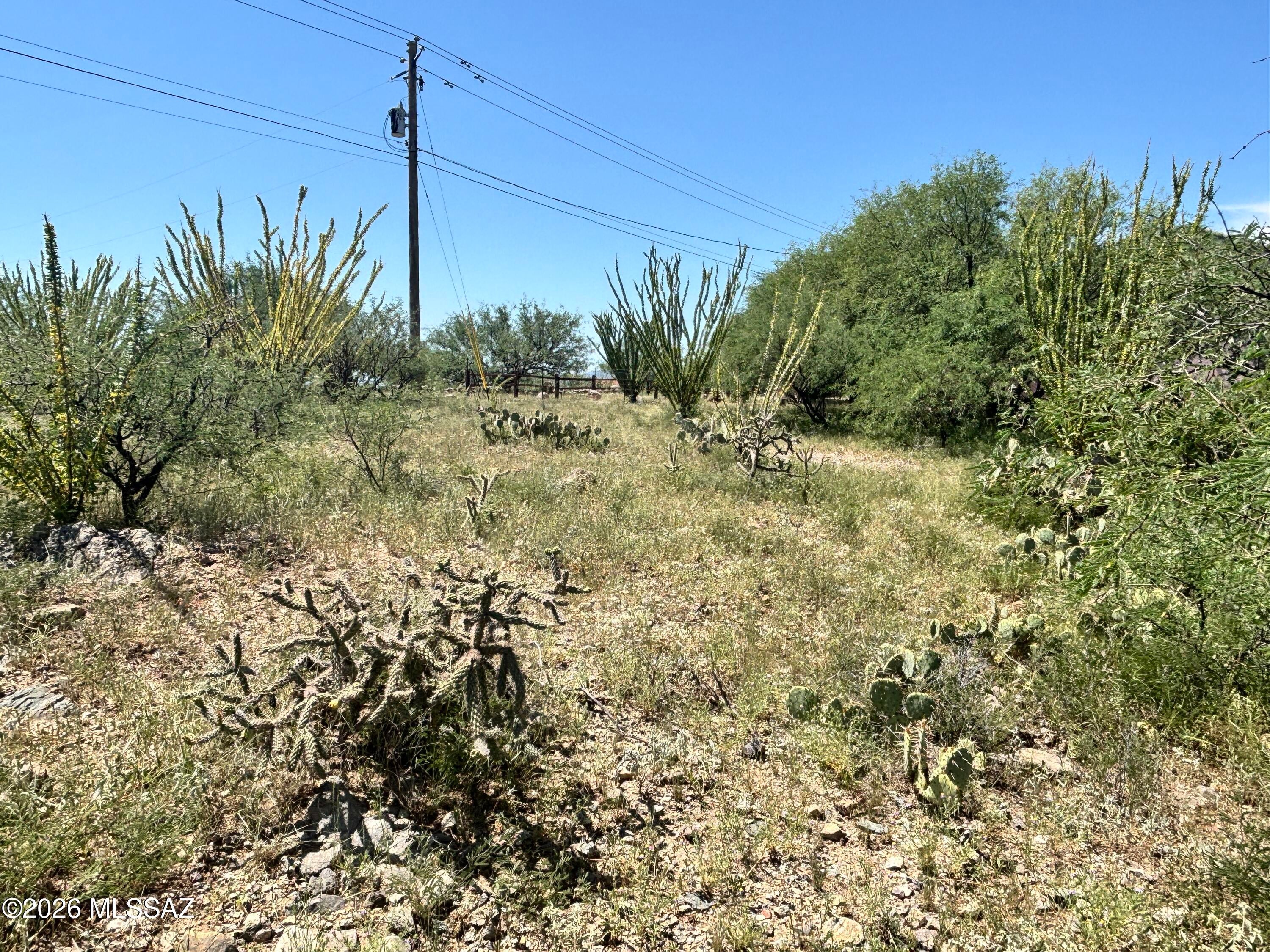 Rio Rico Estates 16 - Land
