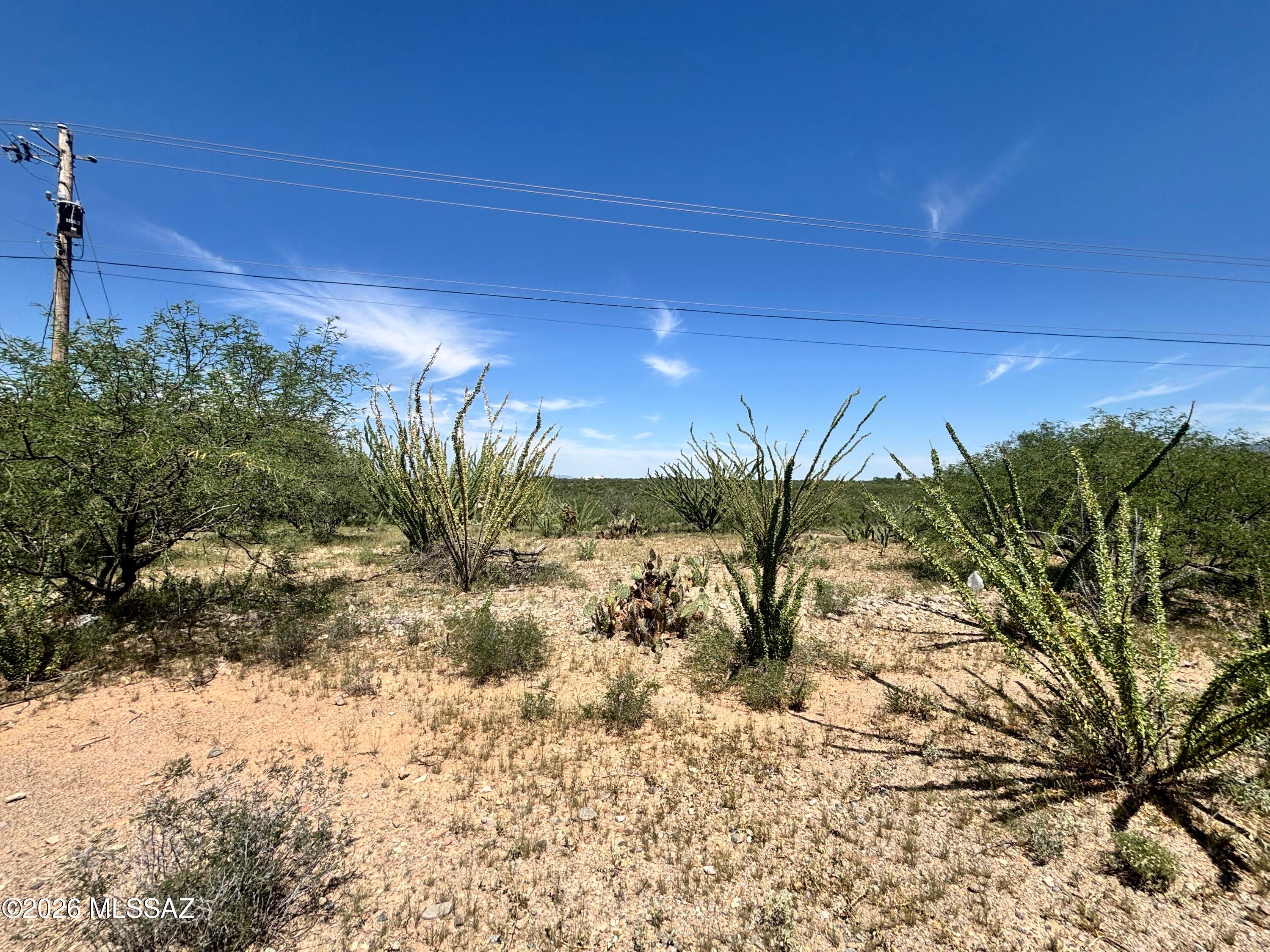 Rio Rico Estates 16 - Land