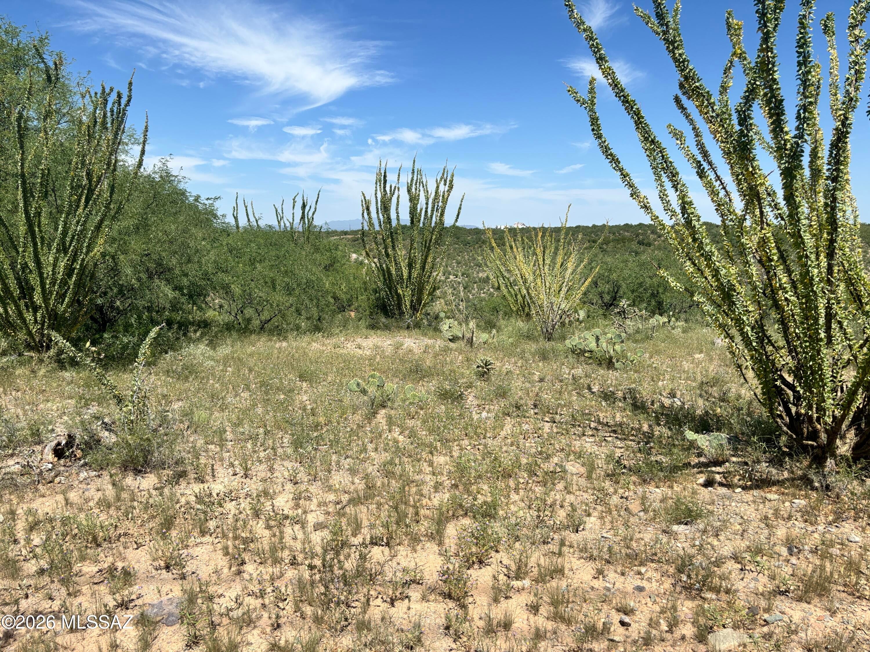Rio Rico Estates 16 - Land