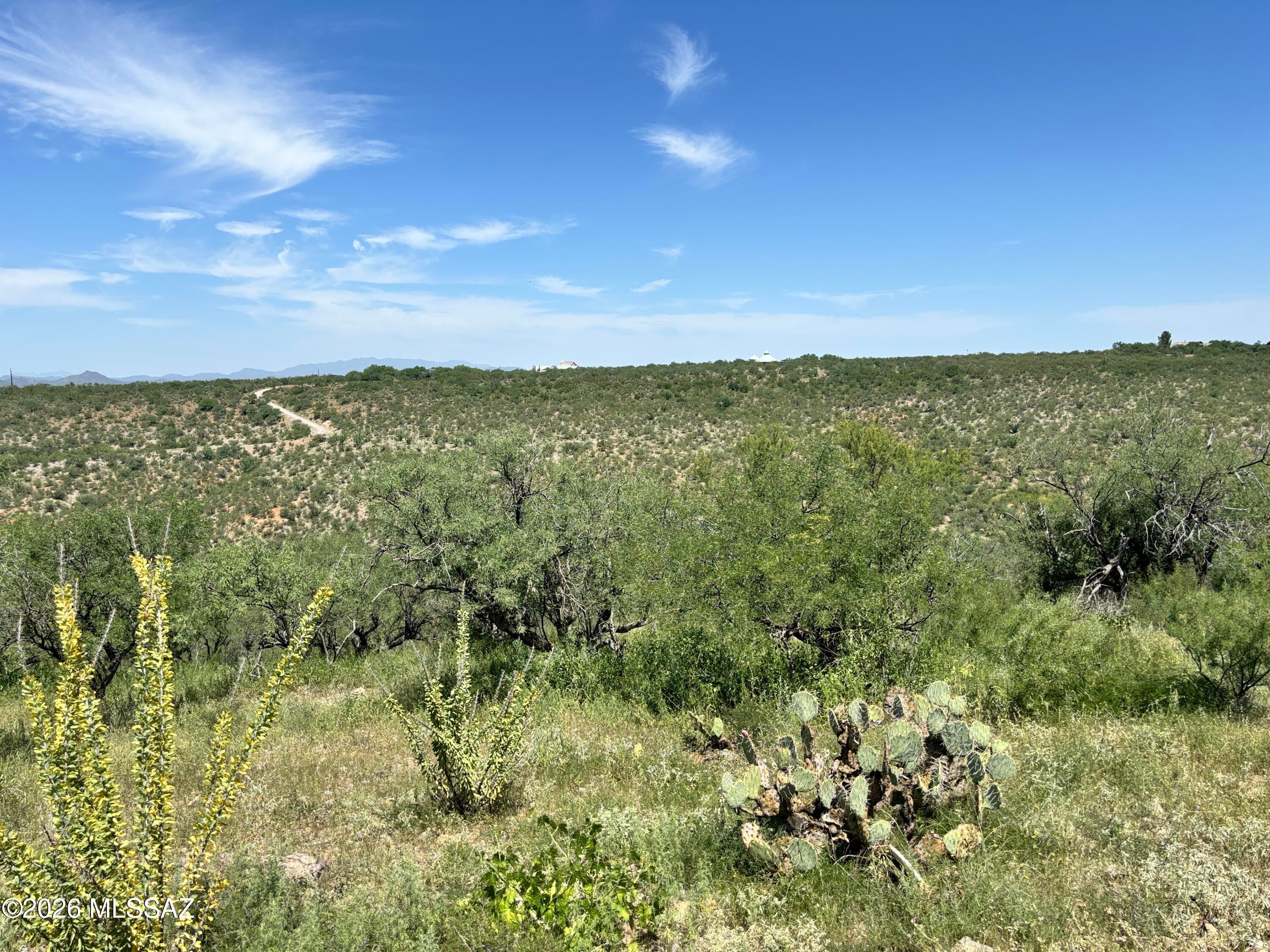 Rio Rico Estates 16 - Land