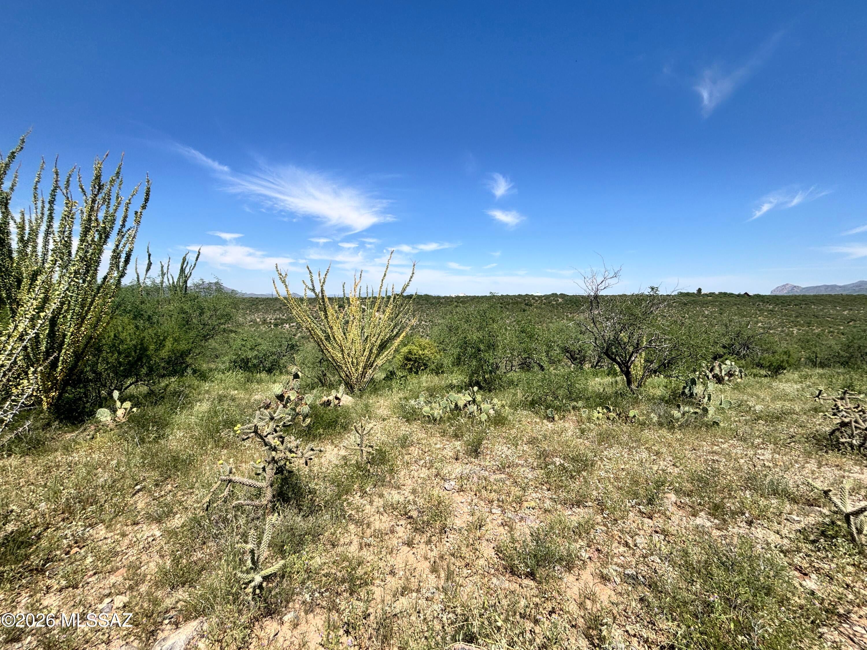 Rio Rico Estates 16 - Land