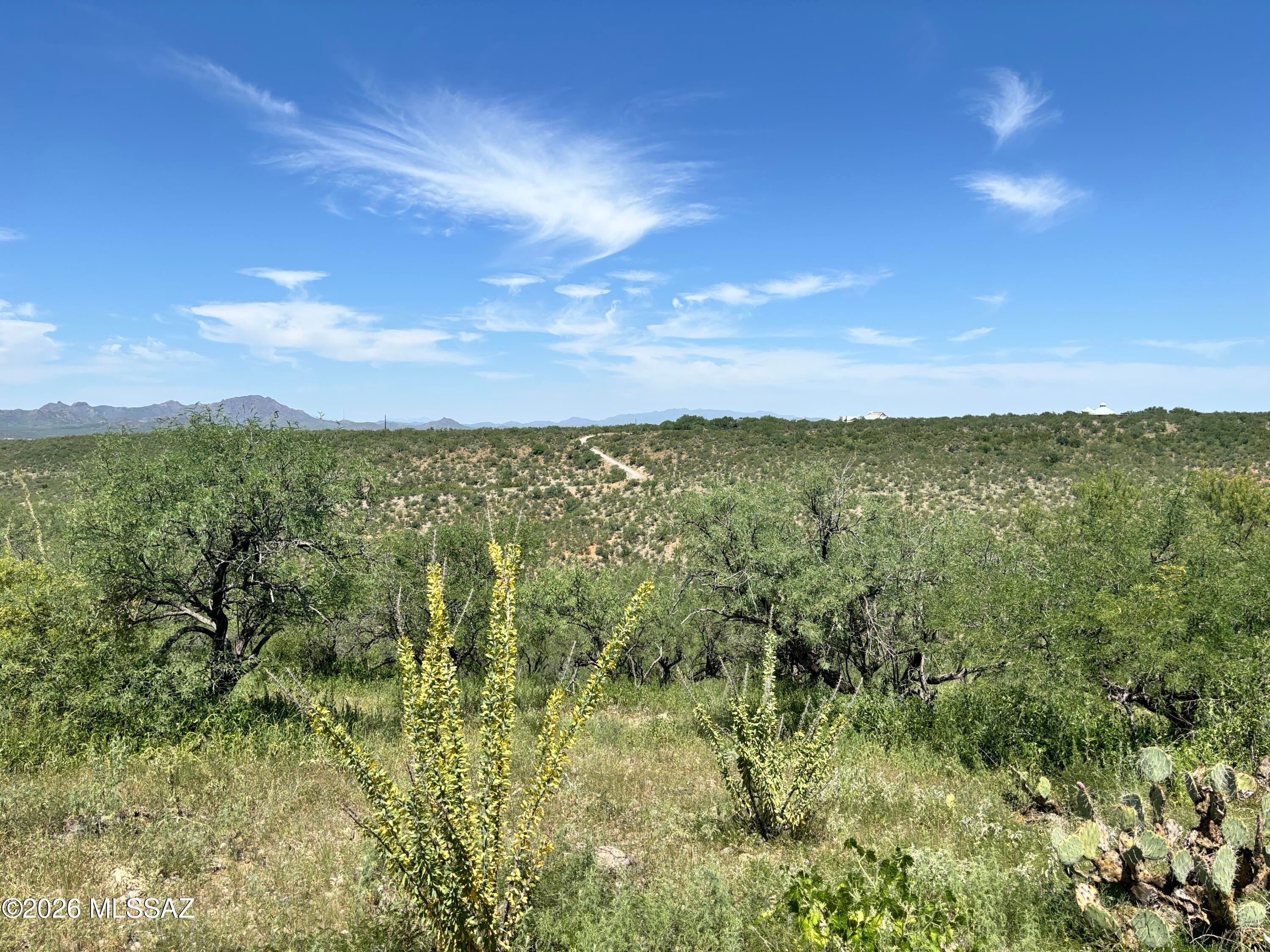 Rio Rico Estates 16 - Land