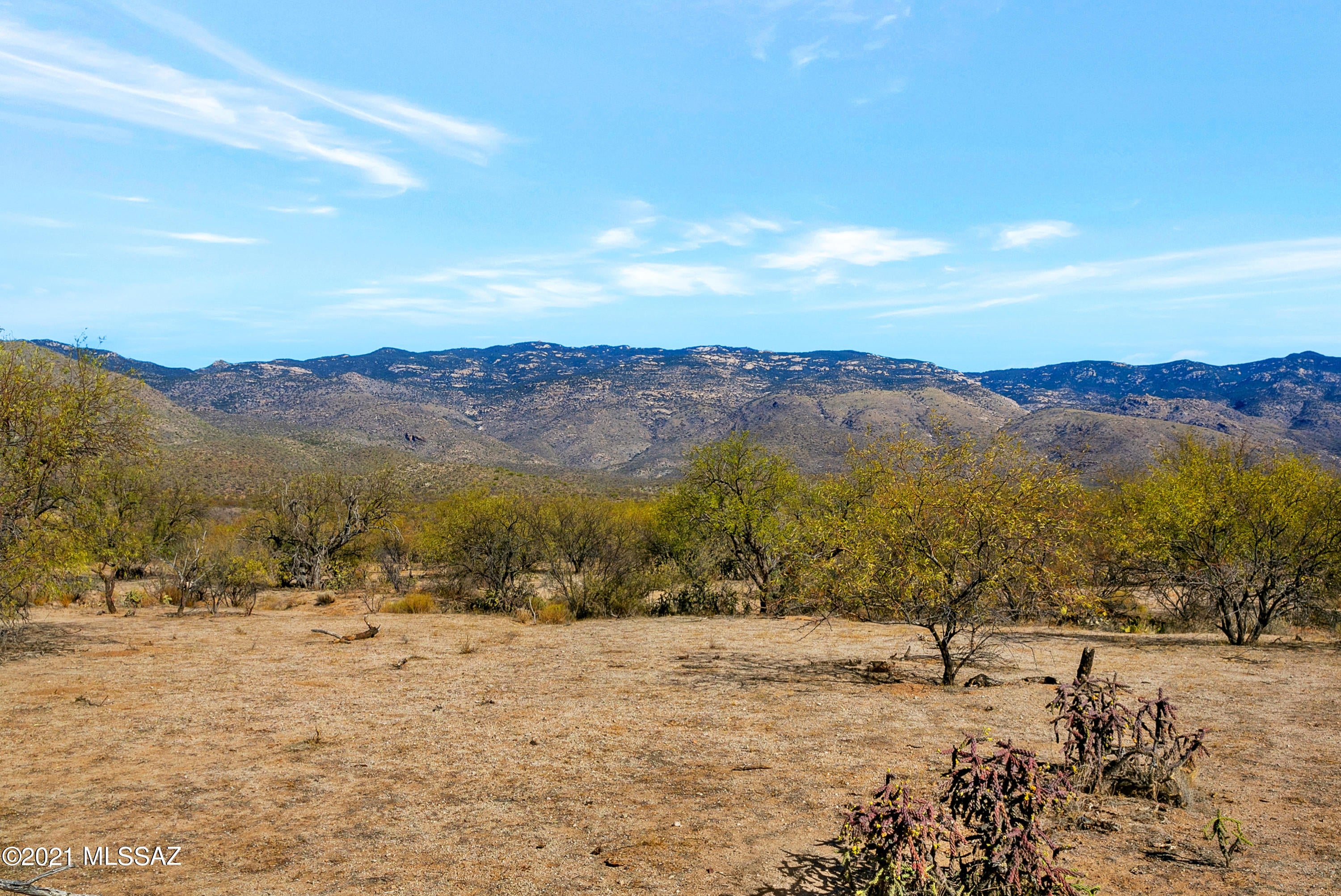 X9 Ranch - Land