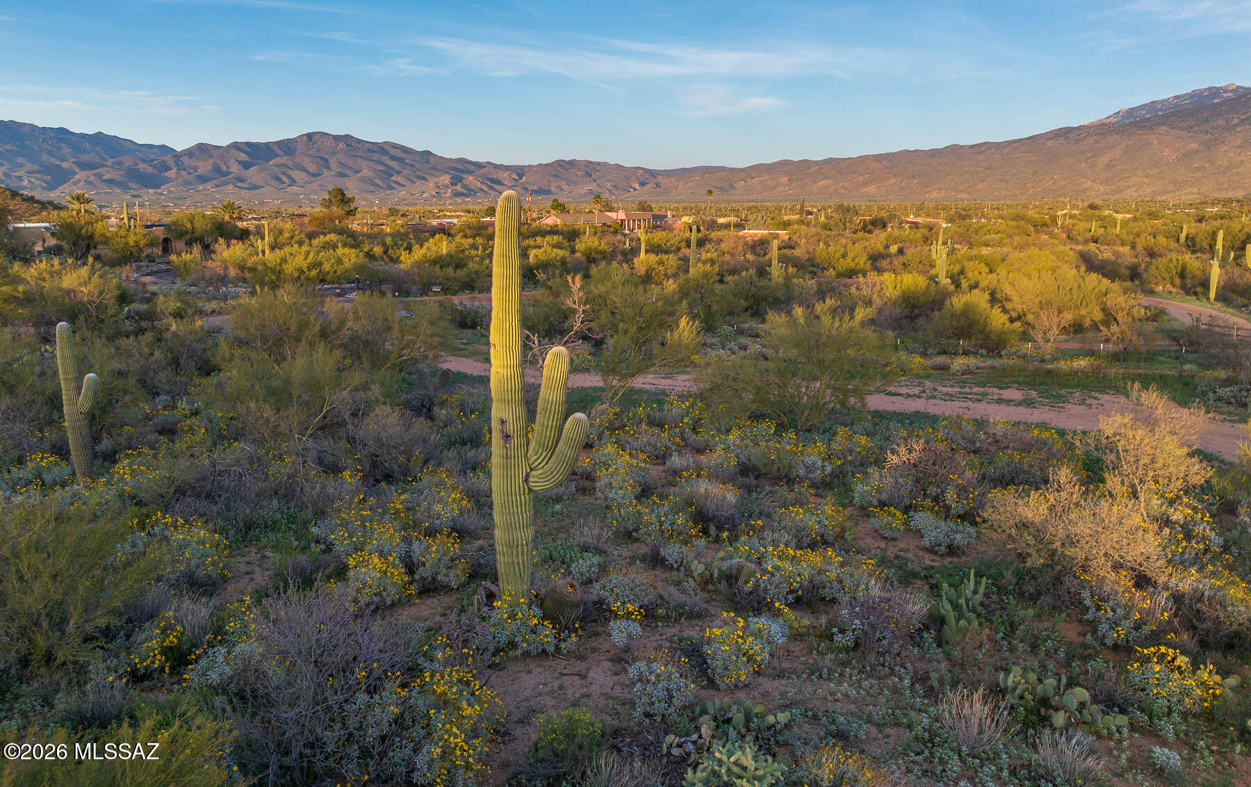 Old Spanish Trail Estates - Land