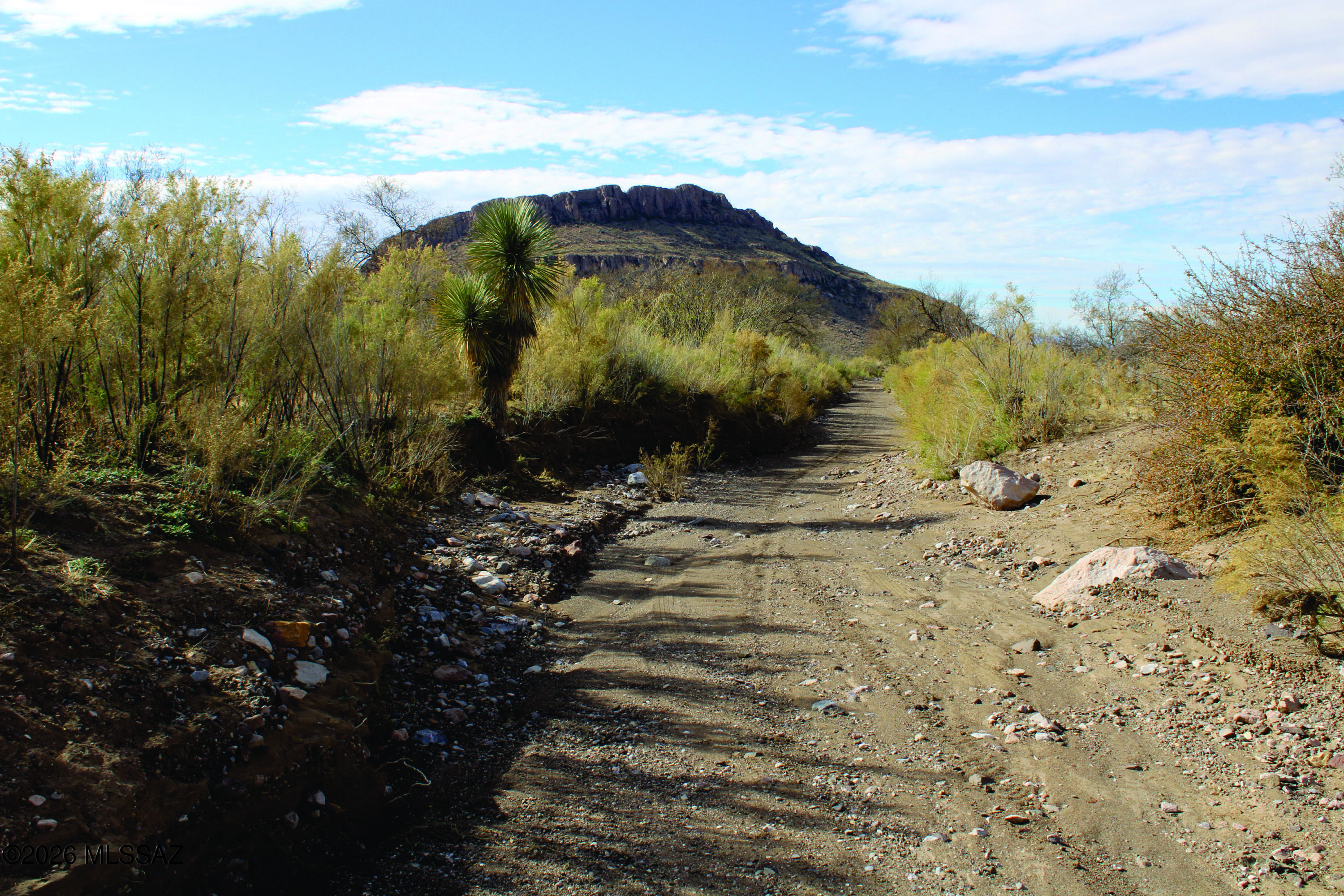 Remote, 20 acre Cochise County RU-4 zoned property. Owner builder Opt-out is an option for you. You can be away from all the stress and be back in town quickly for supplies. This picturesque location is one in a million. Enjoy the serenity of this secluded location, perfect to start your off-grid dream. Seller financing is available with $3900 Down plus Pioneer Title account setup and closing Costs, for 3 years at 9.9 percent interest. with a payment of $289.98 per month plus Pioneer Title Processing fee and impounded property tax.