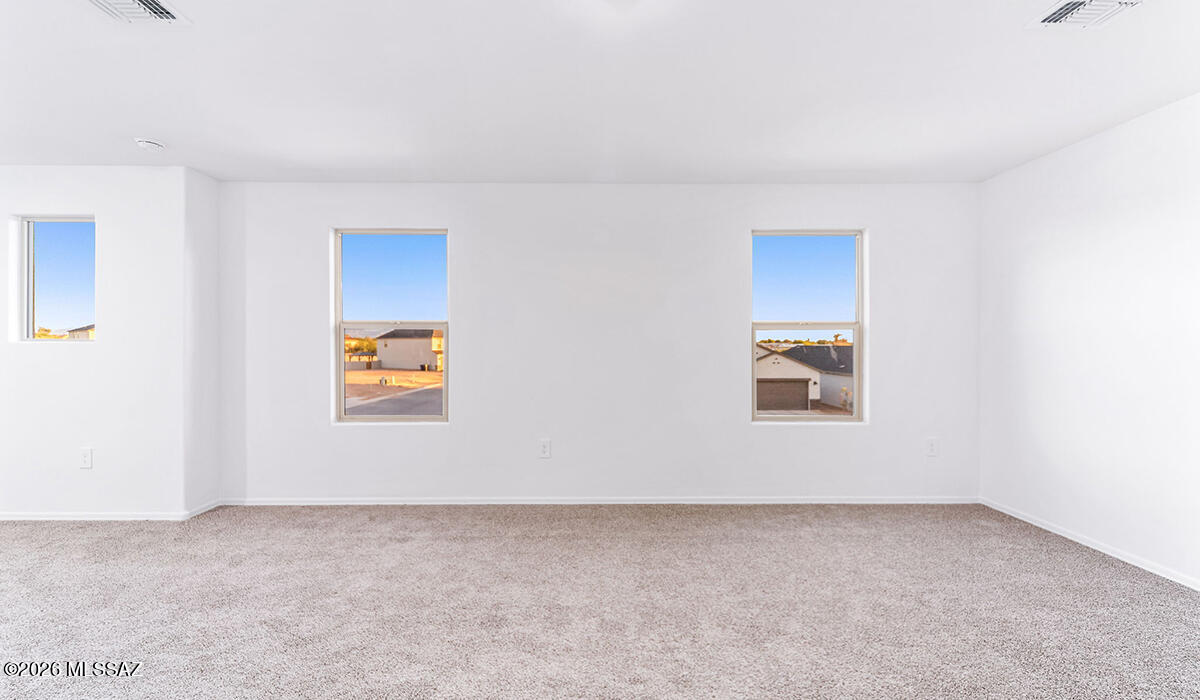 Saguaro Bloom SQ20180540069 - Residential
