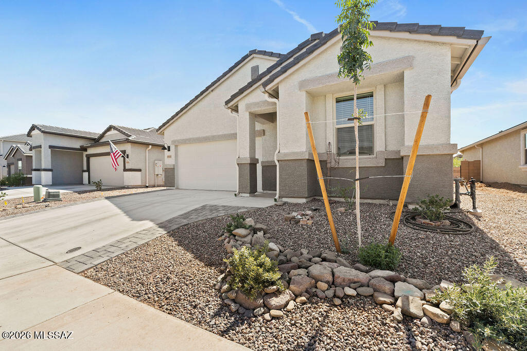Saguaro Bloom - Residential