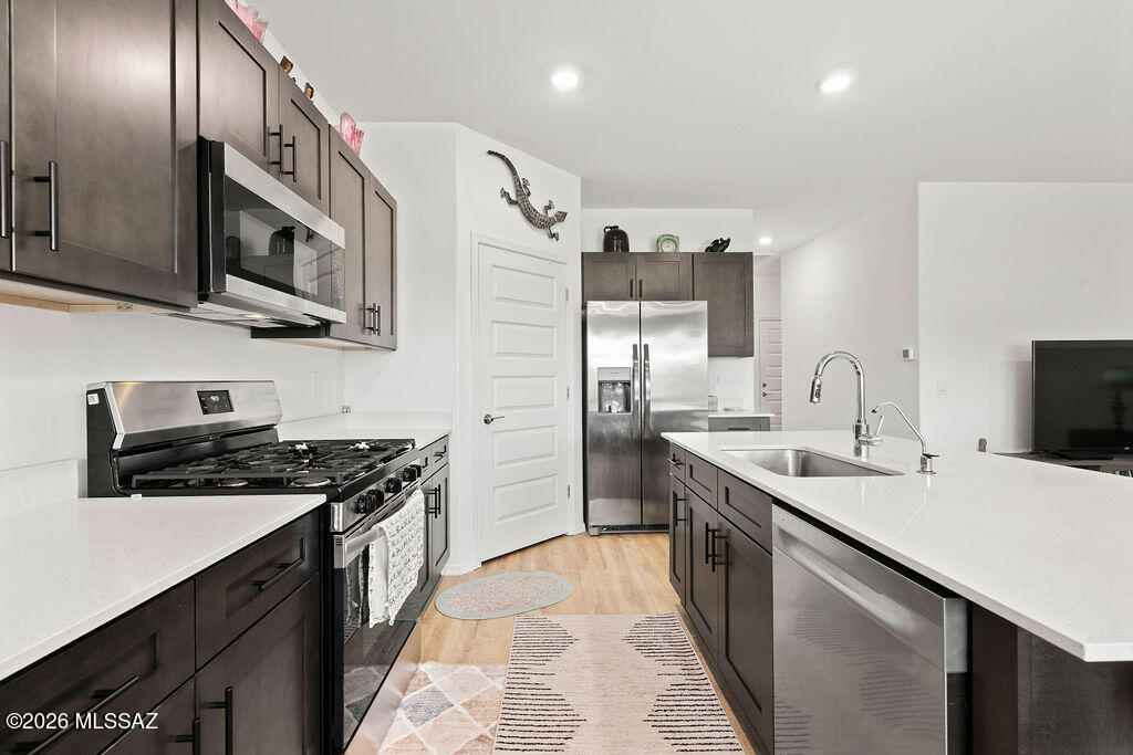Saguaro Bloom - Residential