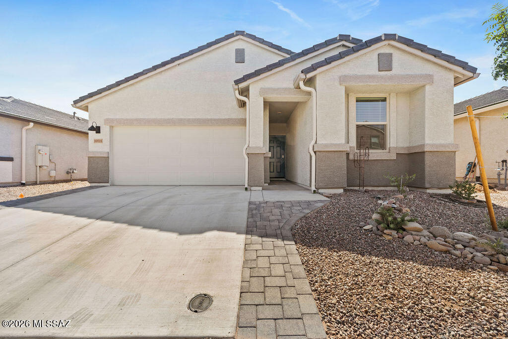 Saguaro Bloom - Residential