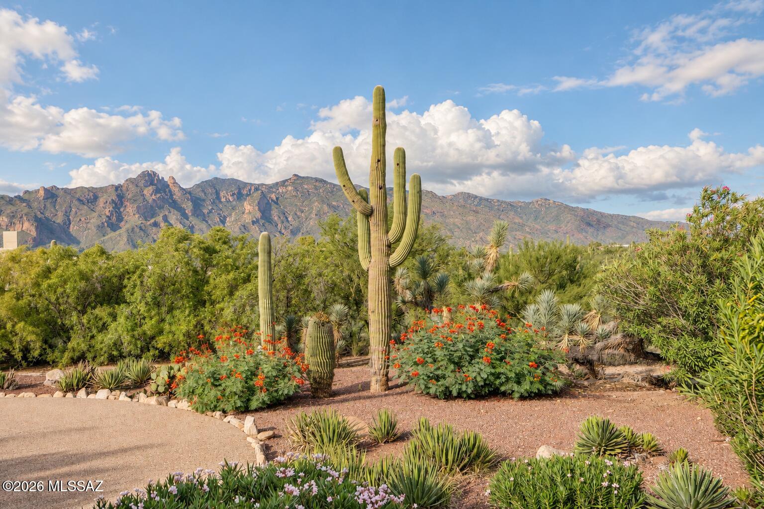 Catalina Foothills Estates - Residential