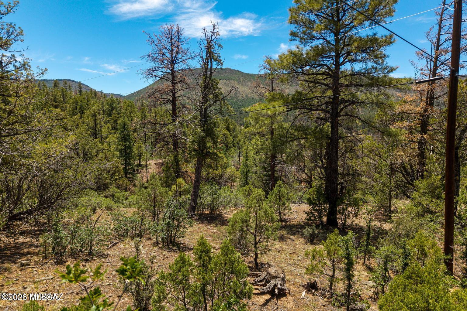 Perched high in Noble Mountain Estates and tucked back off Auger Canyon in the beautiful White Mountains, this 1.95-acre vacant lot
offers the perfect setting for your future mountain retreat. Surrounded by mature timber and peaceful natural beauty, this property
provides panoramic views and endless potential to build your dream cabin. Utilities are available at the lot line, including power and
phone.