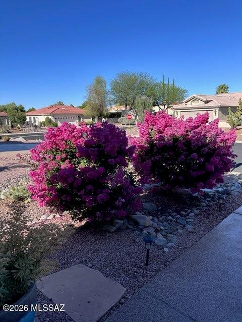Saddlebrooke - Residential