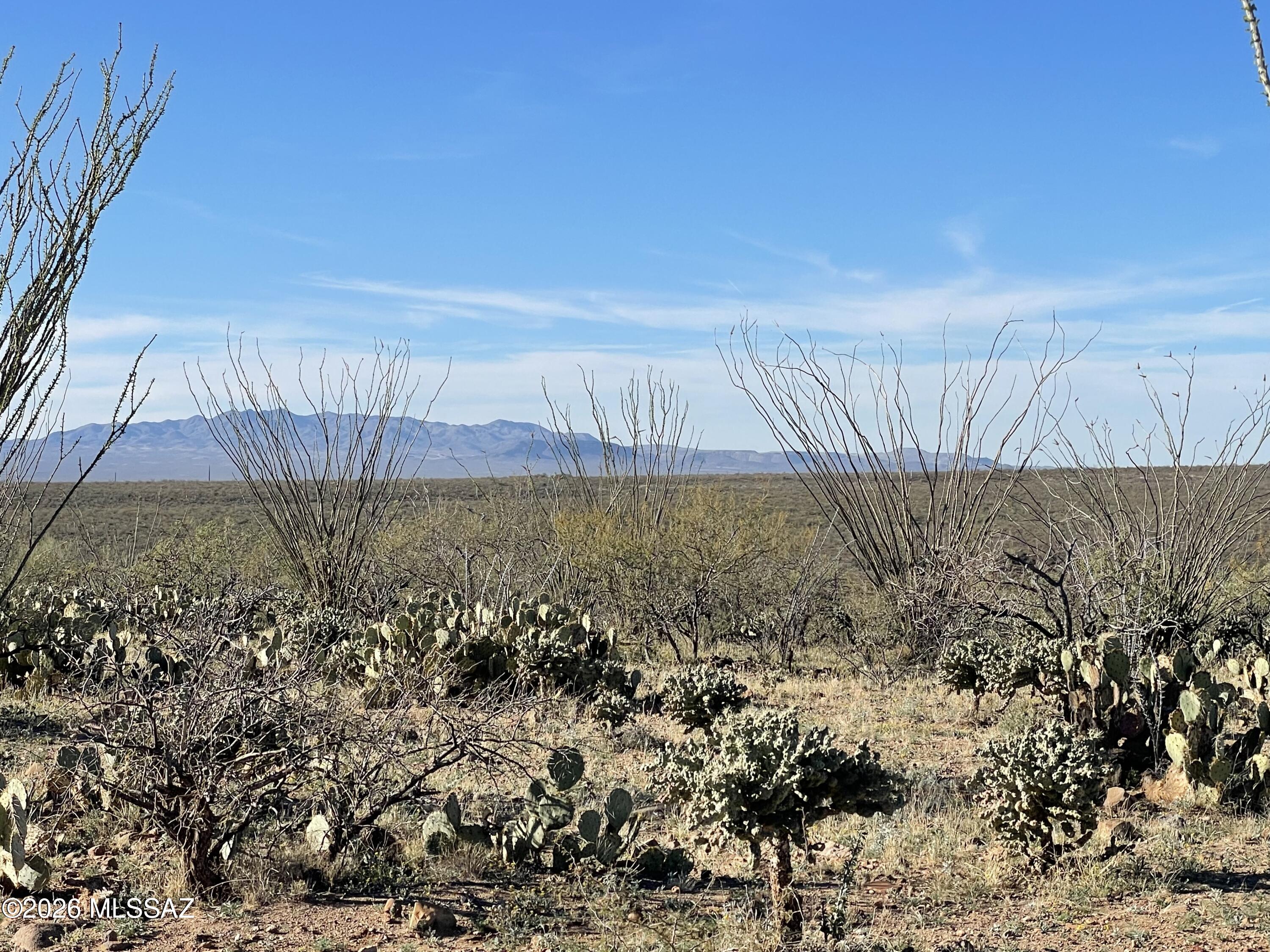 Tubac Foothills Ranch - Land