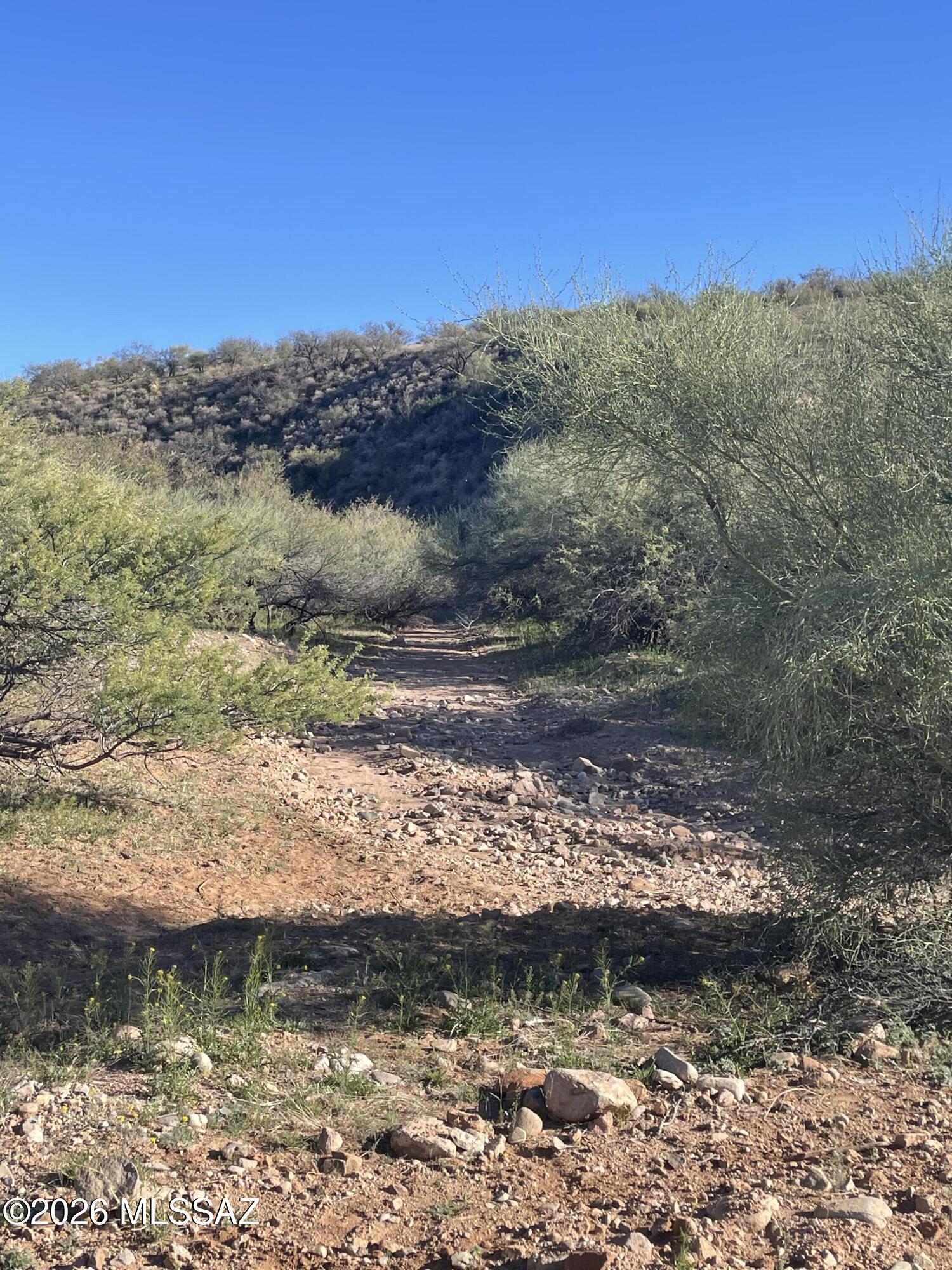 Tubac Foothills Ranch - Land