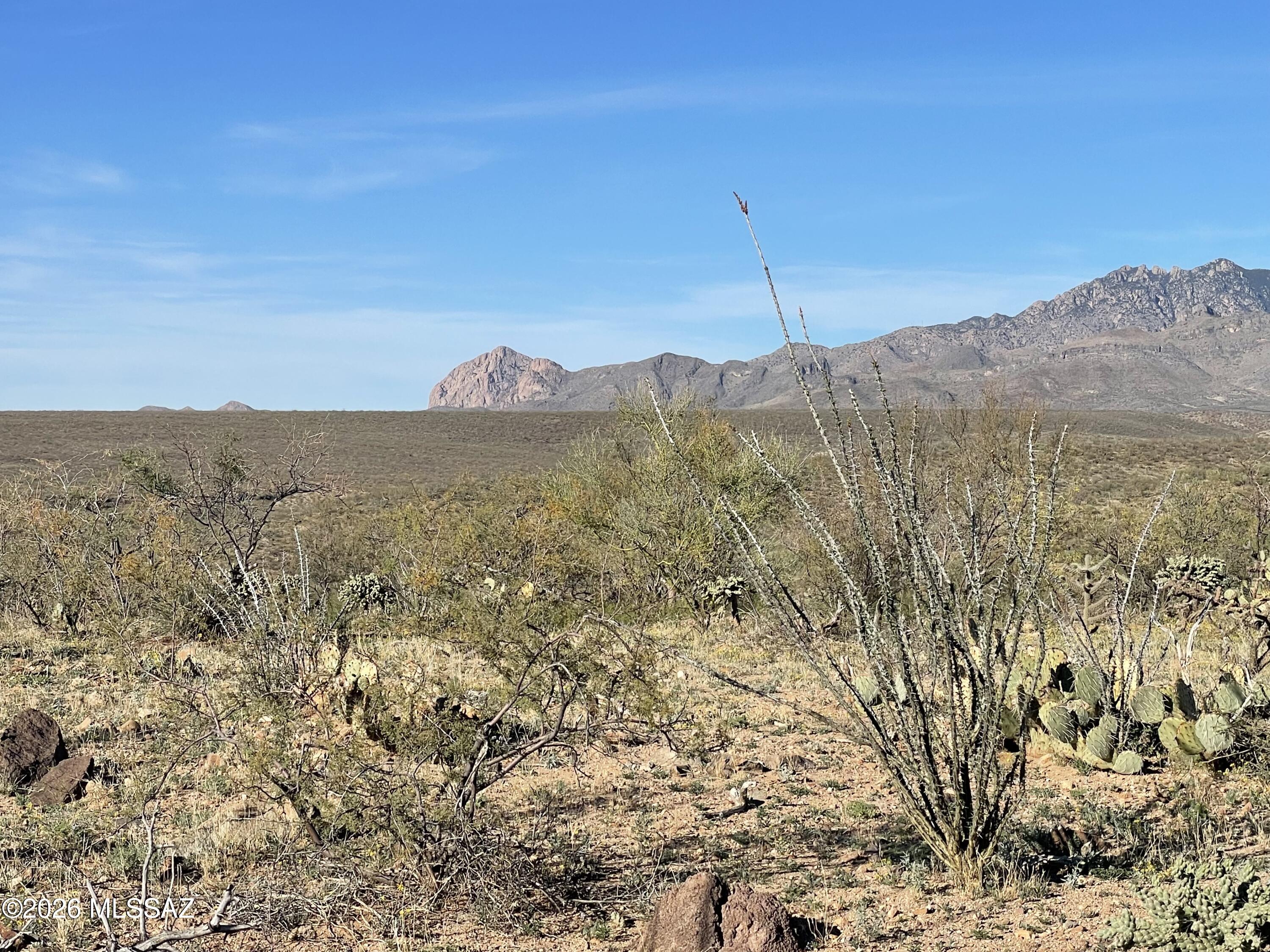Tubac Foothills Ranch - Land