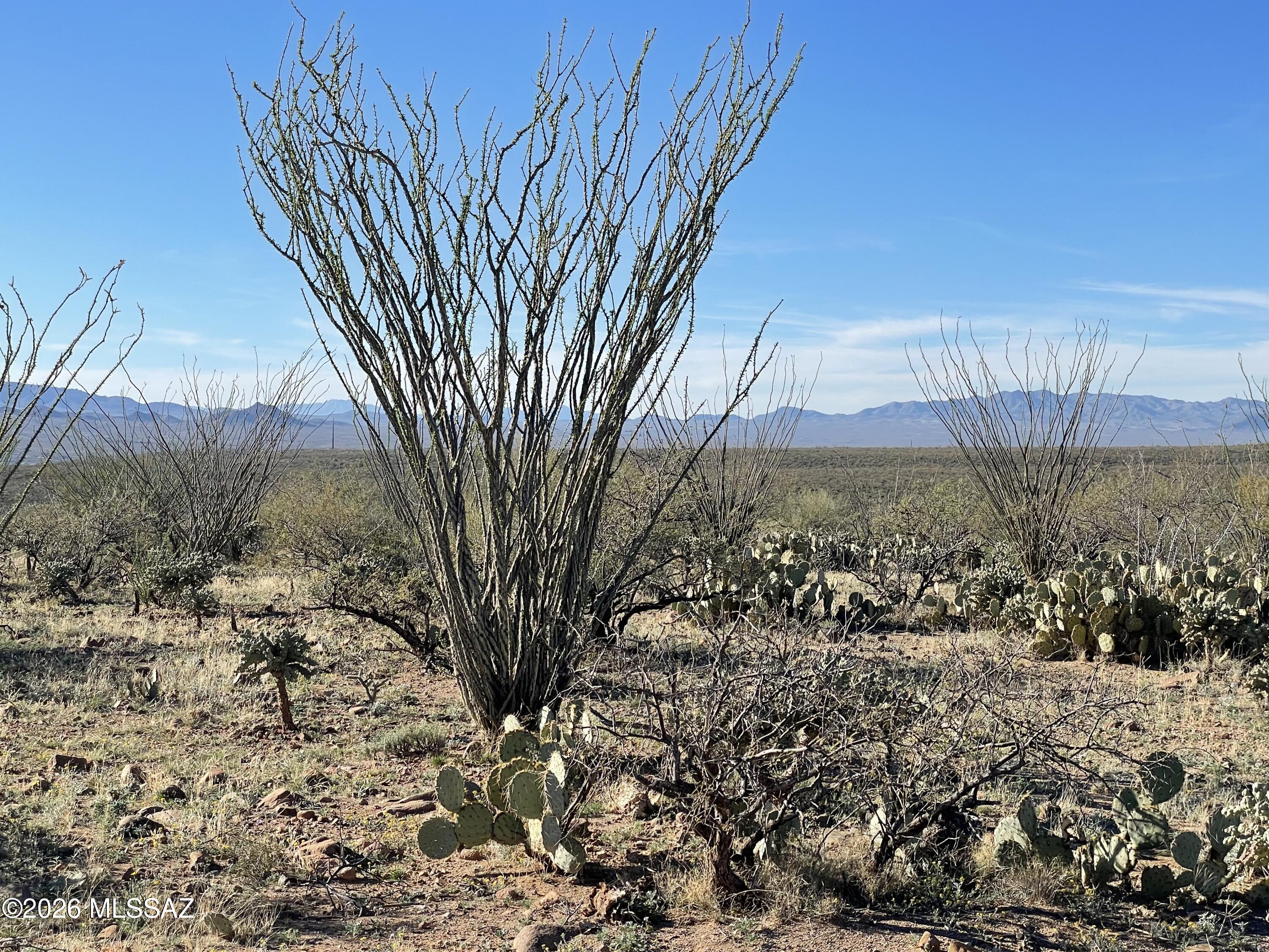 Tubac Foothills Ranch - Land