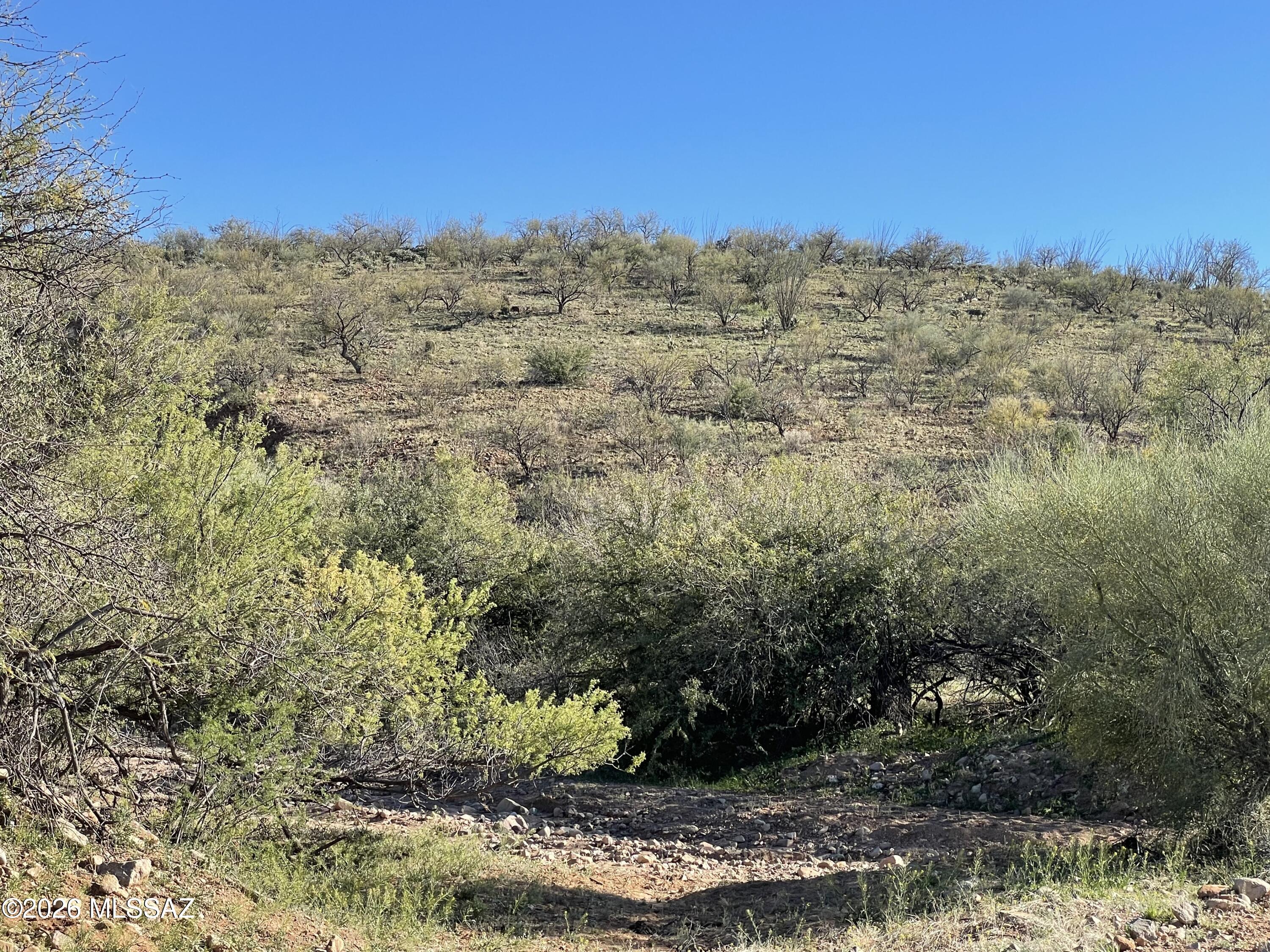 Tubac Foothills Ranch - Land