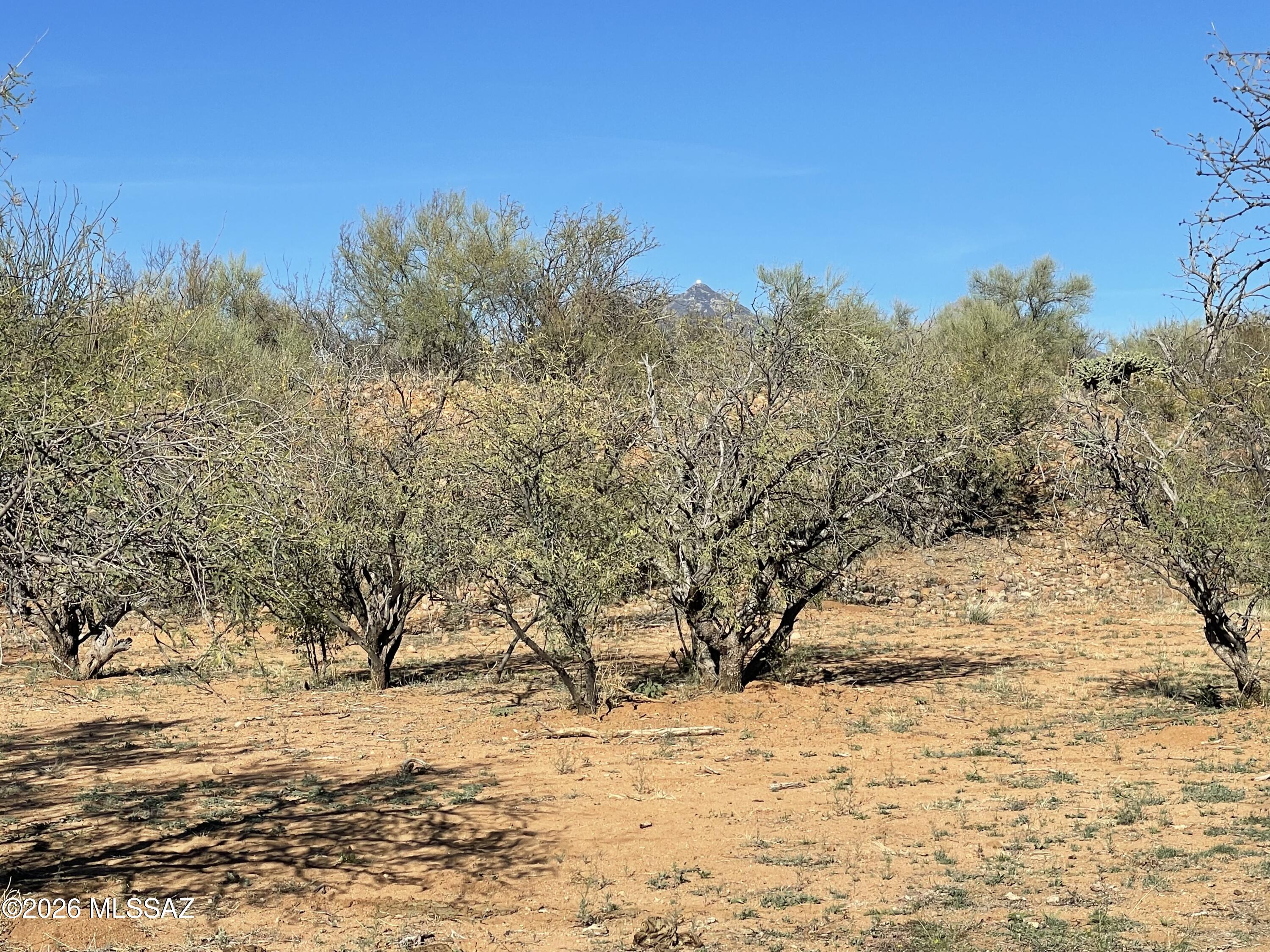 Tubac Foothills Ranch - Land