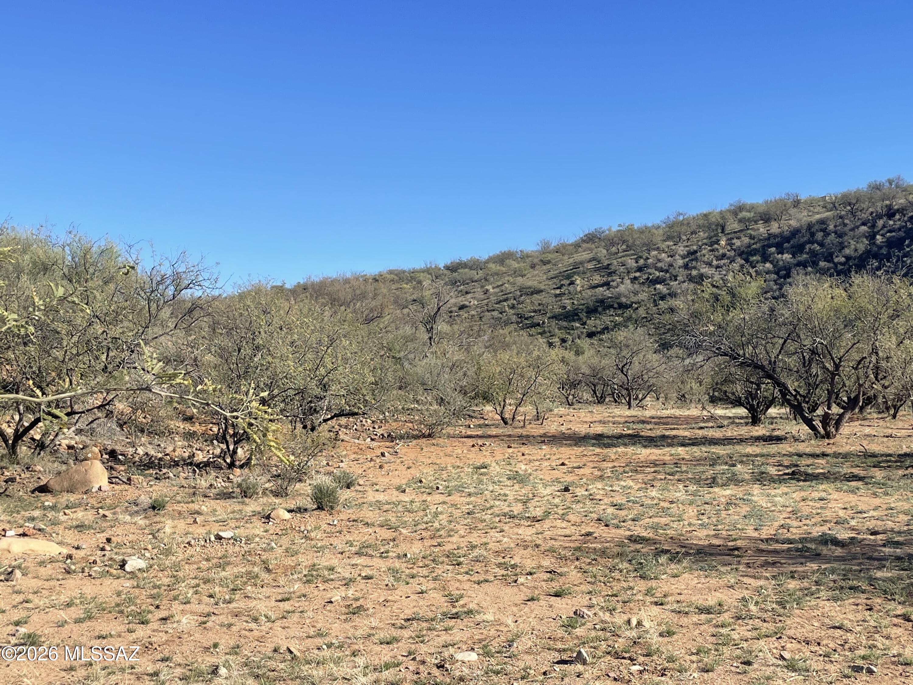 Tubac Foothills Ranch - Land